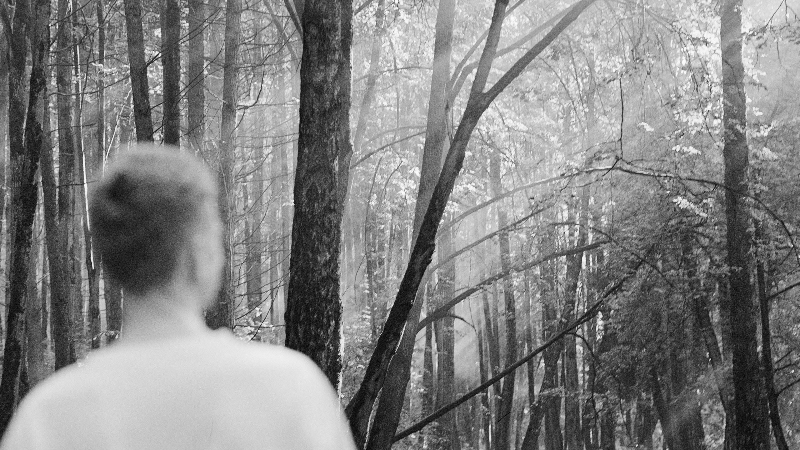 Фотограф · barwarm35mm · Москва