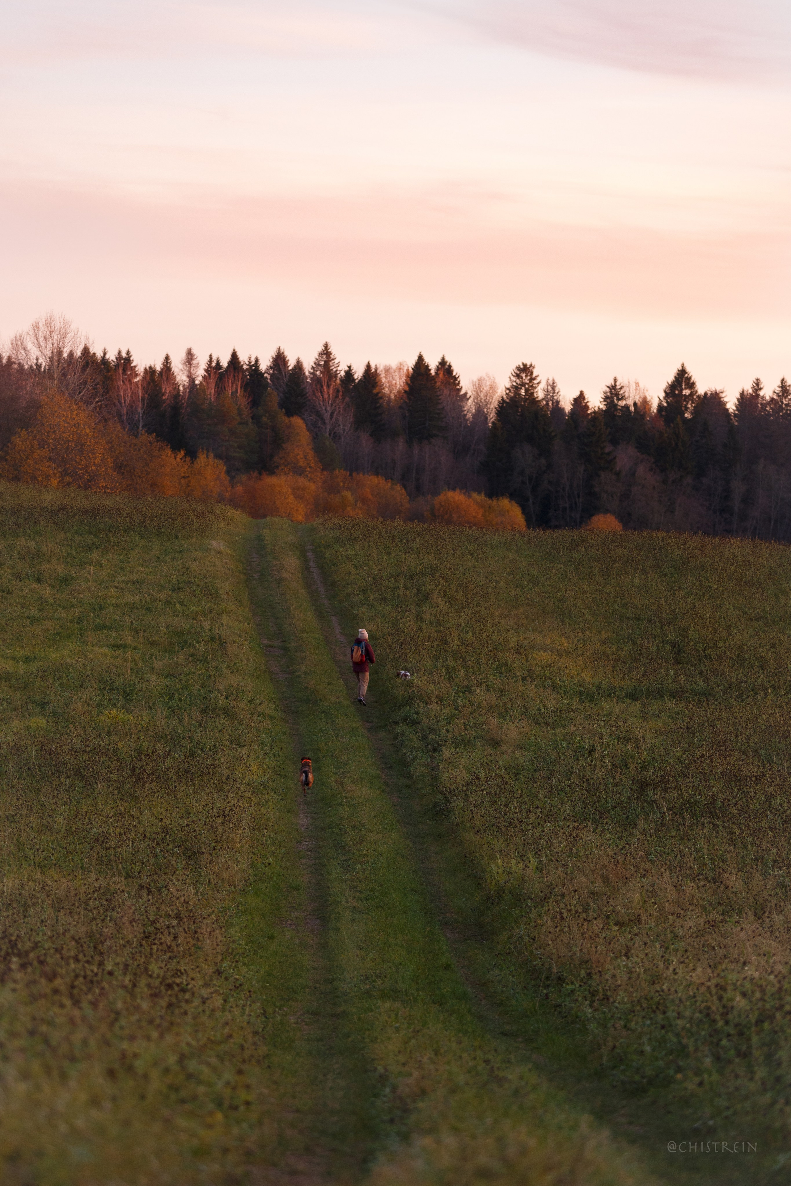 Октябрьский закат в полях. Алина и Лео. Фотограф-анималист Наталия Чистюхина в г. Сосновый Бор и ЛО