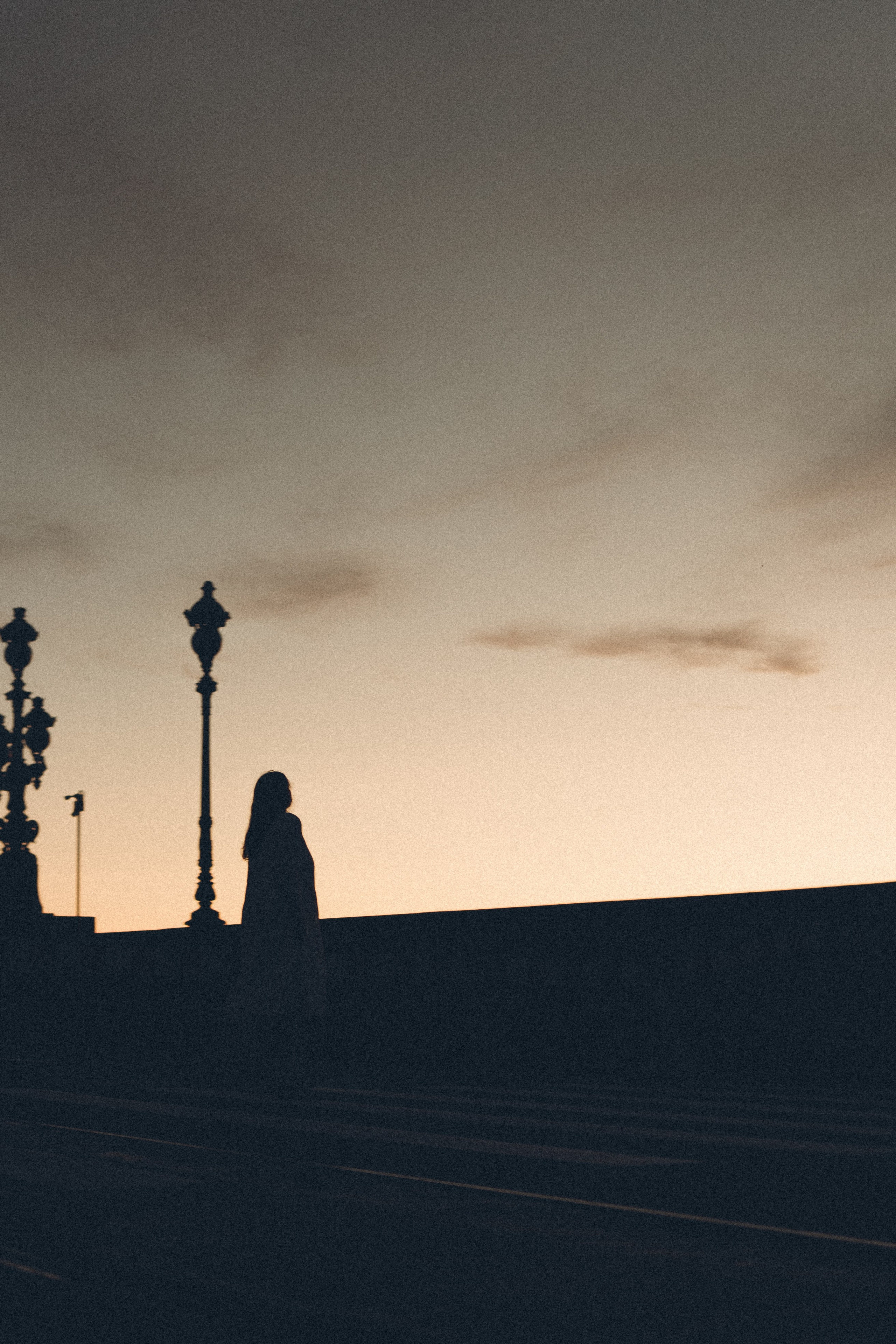 РАССВЕТ С РАЗВОДНЫМИ МОСТАМИ. Профессиональный фотограф, Санкт-Петербург — Виктория Богомолова