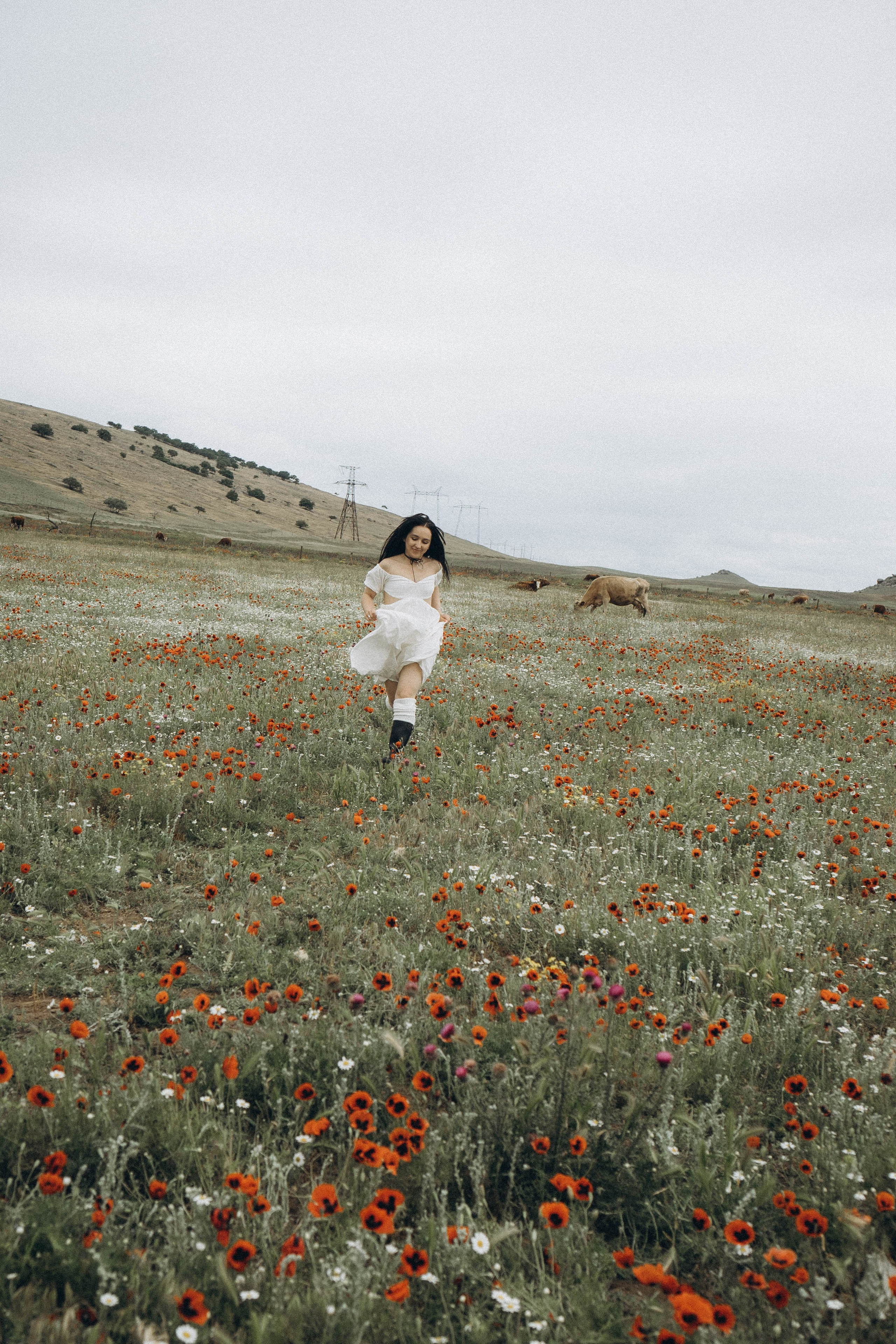Маковое поле. Профессиональный фотограф, Санкт-Петербург — Виктория Богомолова