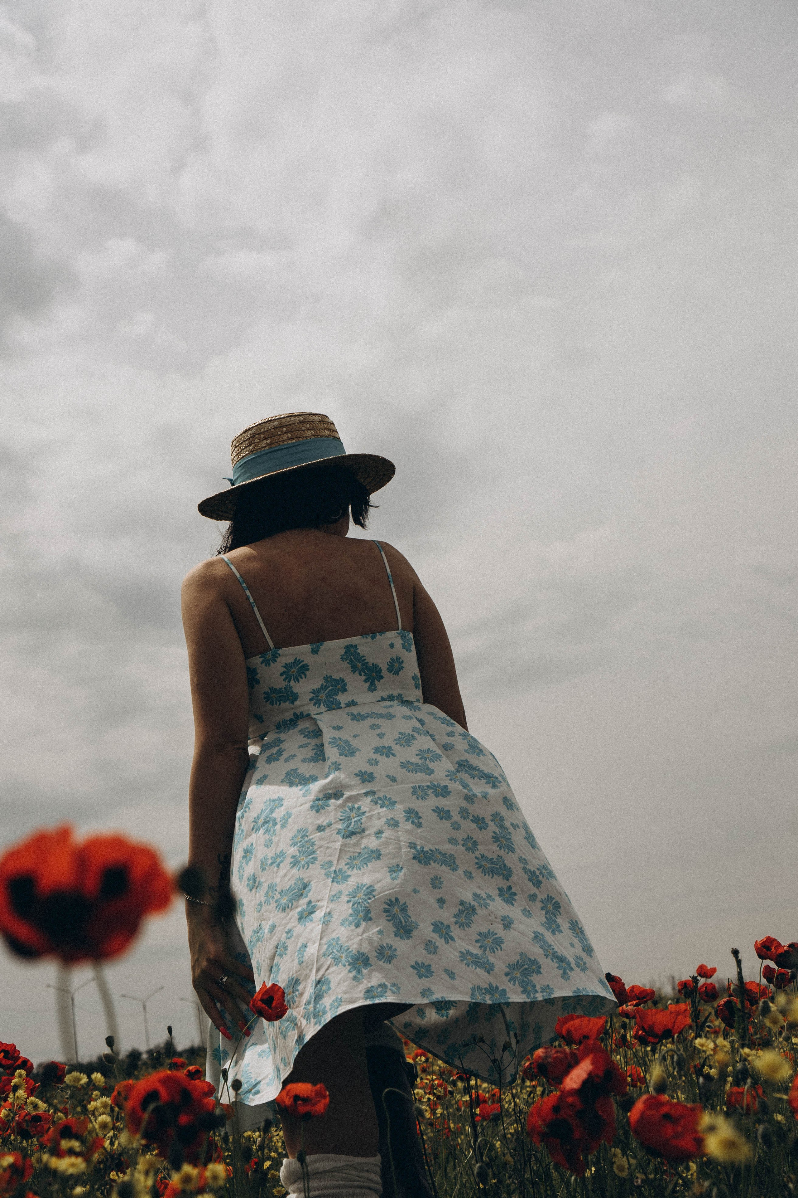 Цветочная поляна. Профессиональный фотограф, Санкт-Петербург — Виктория Богомолова