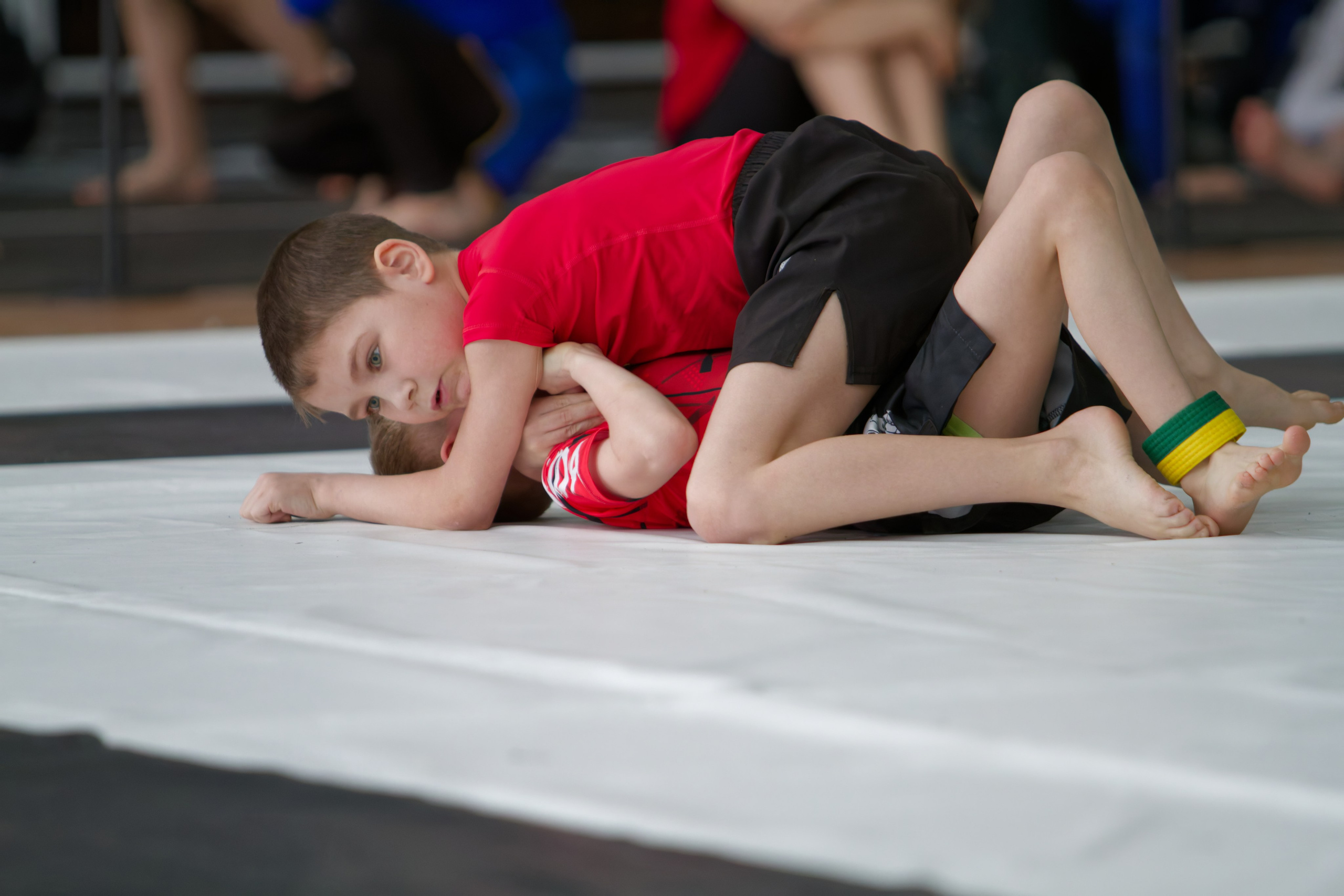 Борьба. Джиу-джитсу 26.04.2025. Репортажный и спортивный фотограф в г. Пермь Зильберг Павел