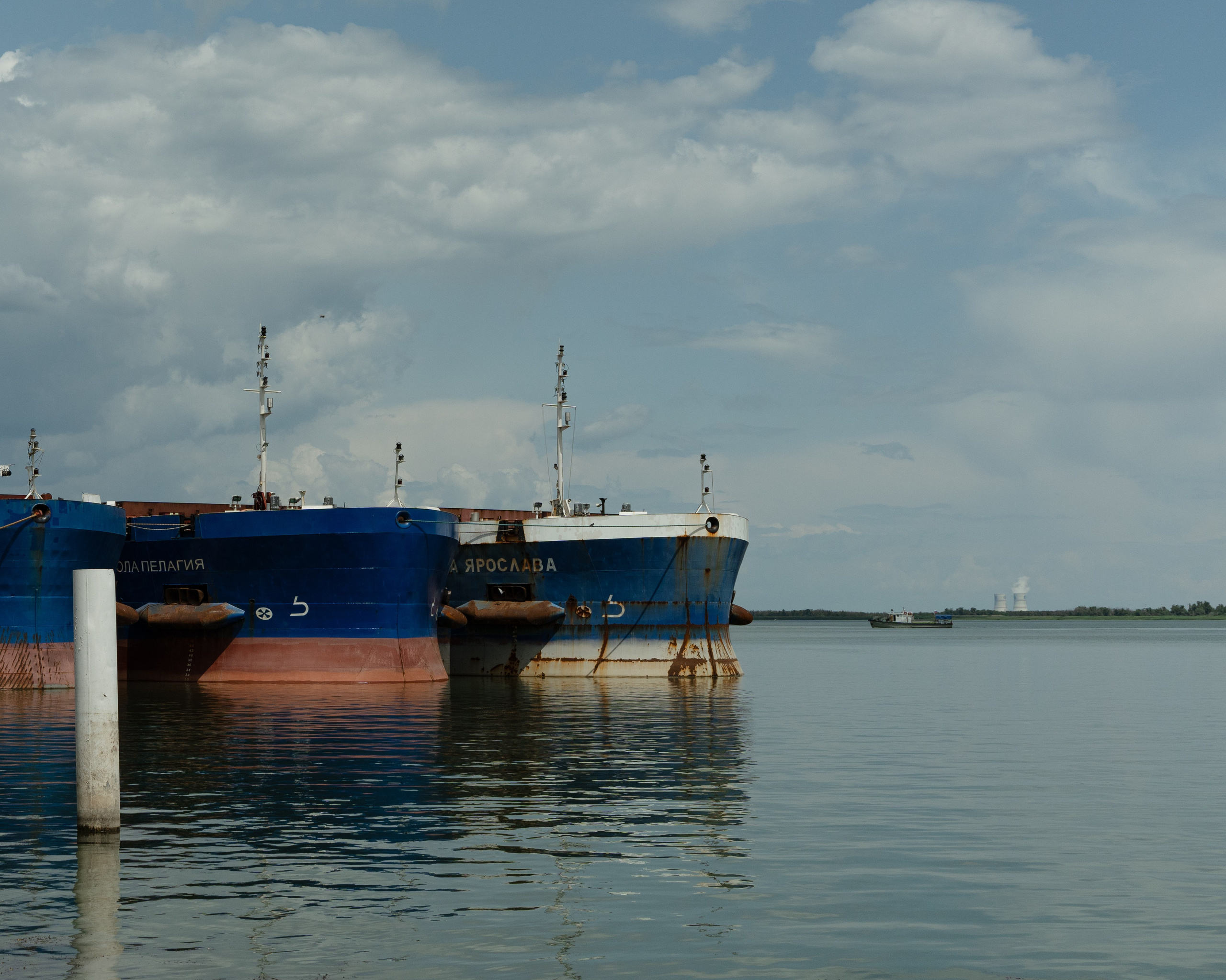 Волгодонск. Твой фотограф в Москве и Московской области Романцова Ирина