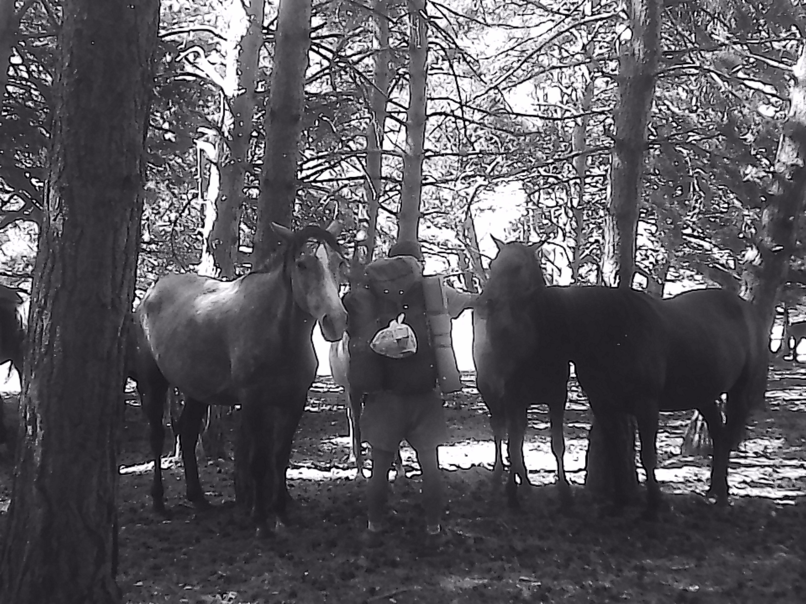 «Крошка 🐣». Anita_photo