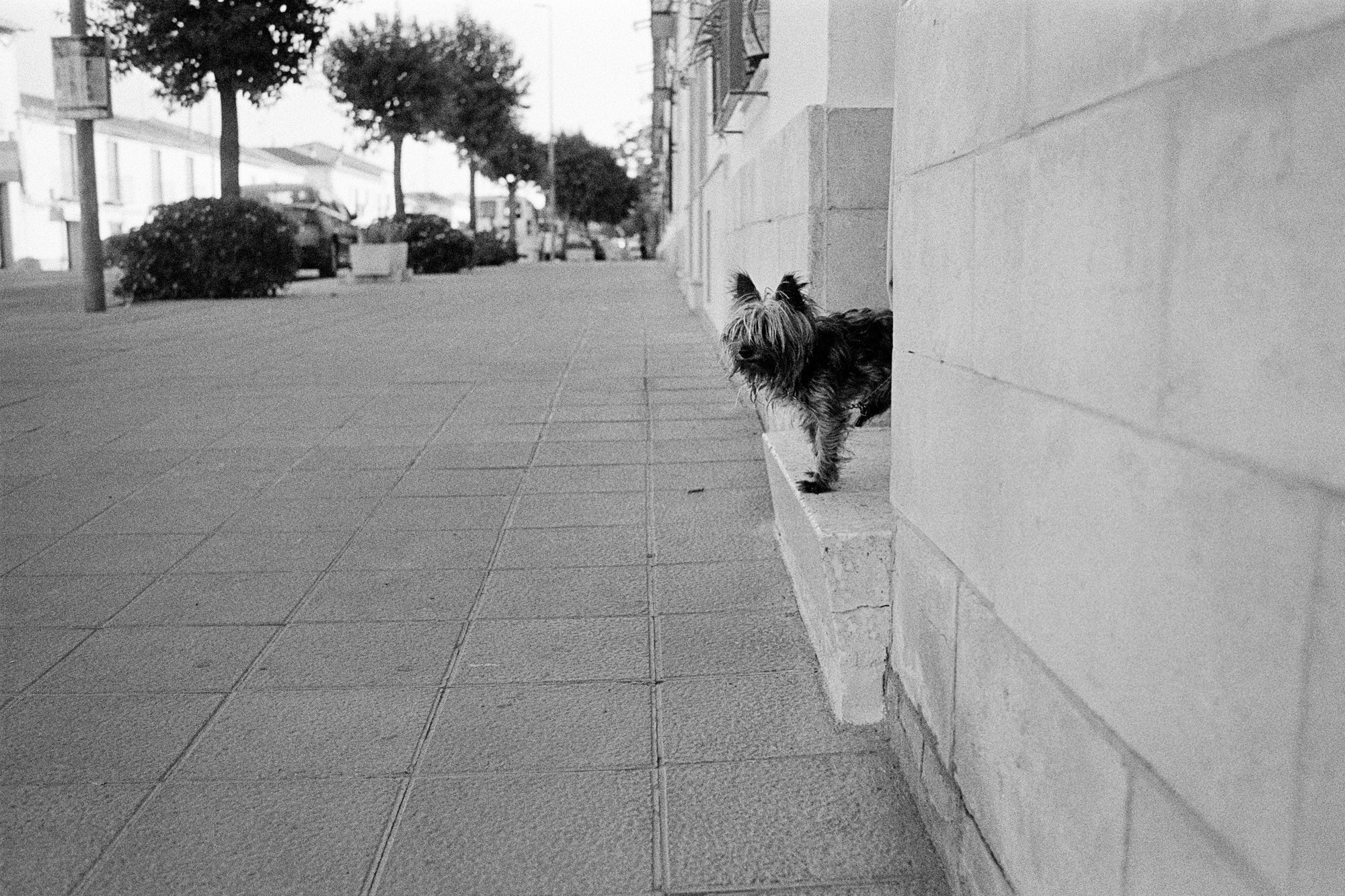 Memories of Spain. Документальный фотограф Алексей Мякишев, Москва