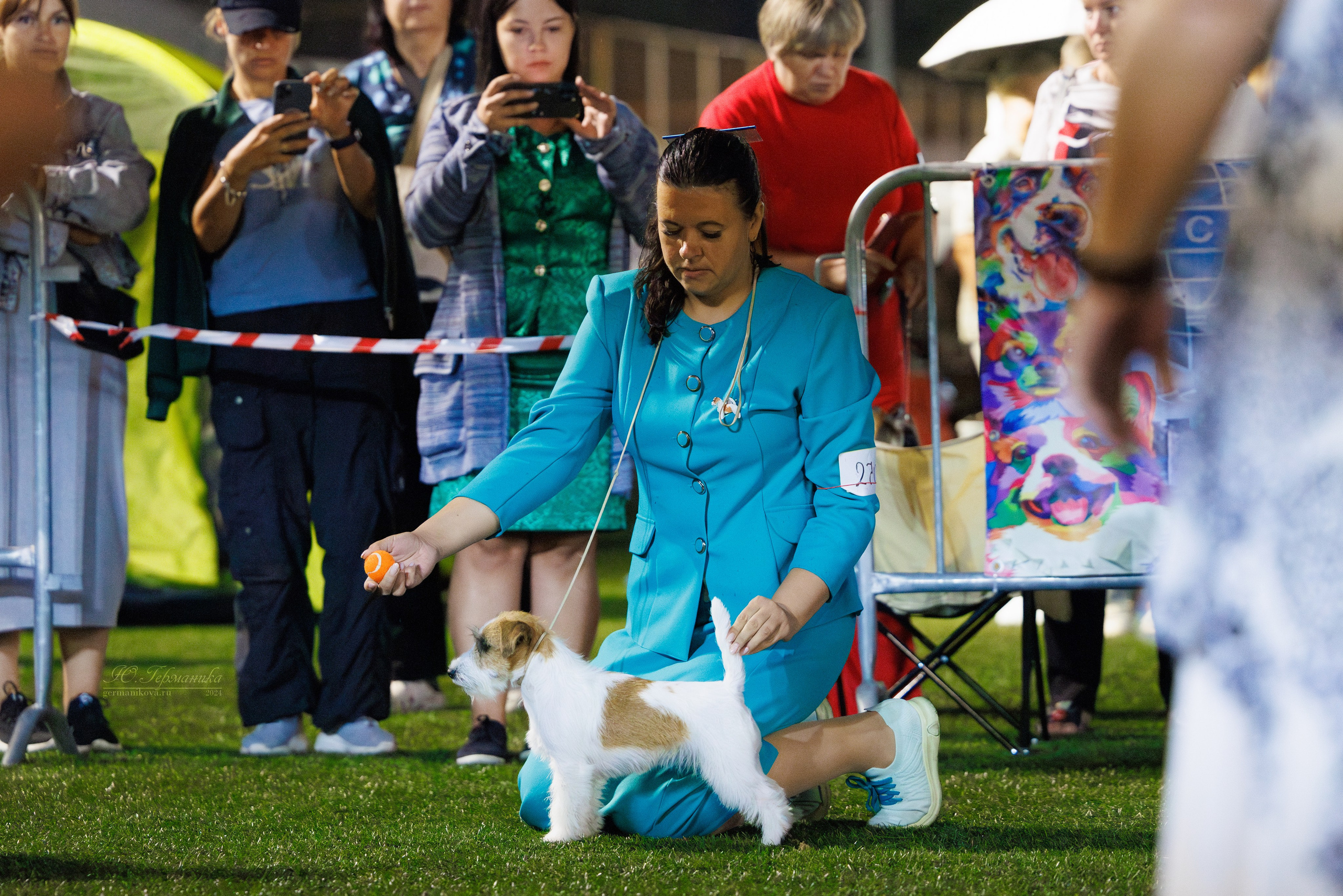 Волгоград 2-4.08.2024. Фотограф-анималист Юлия Германика