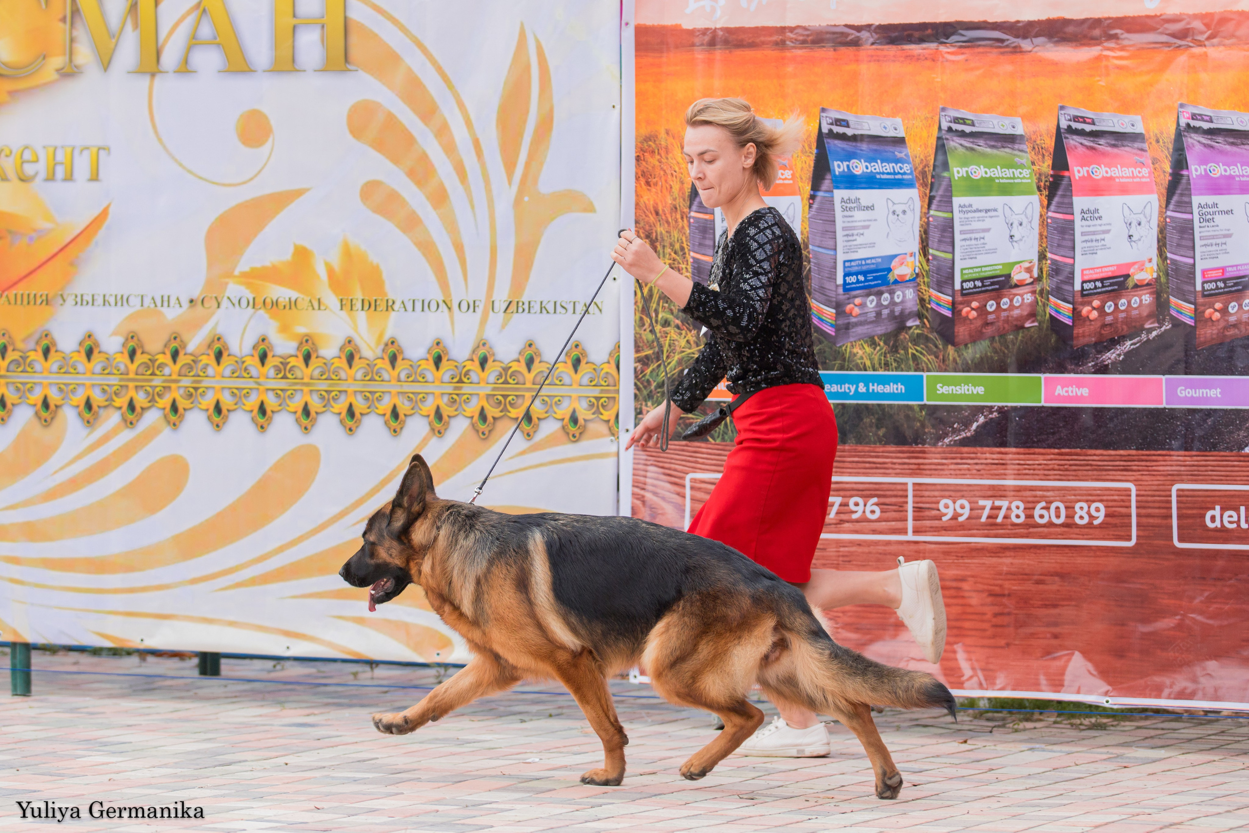 Ташкент 6-8.10.2023 + Алматы 14-15.10.2023. Фотограф-анималист Юлия Германика