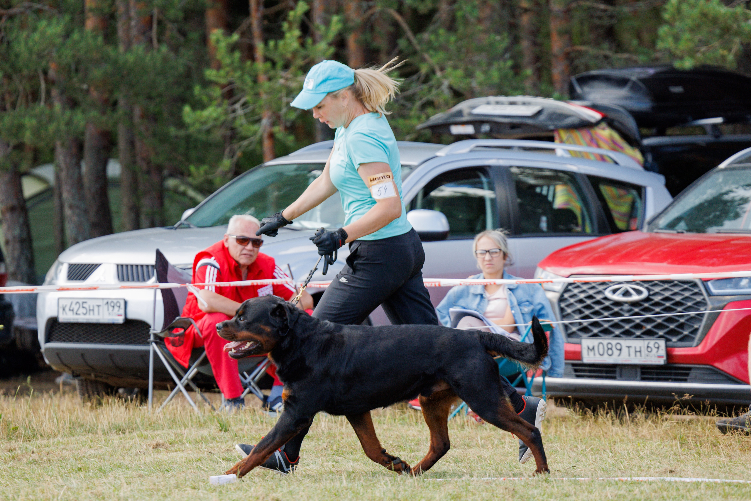 ПК и КЧК ротвейлеры Тверь 6-7.07.2024. Фотограф-анималист Юлия Германика