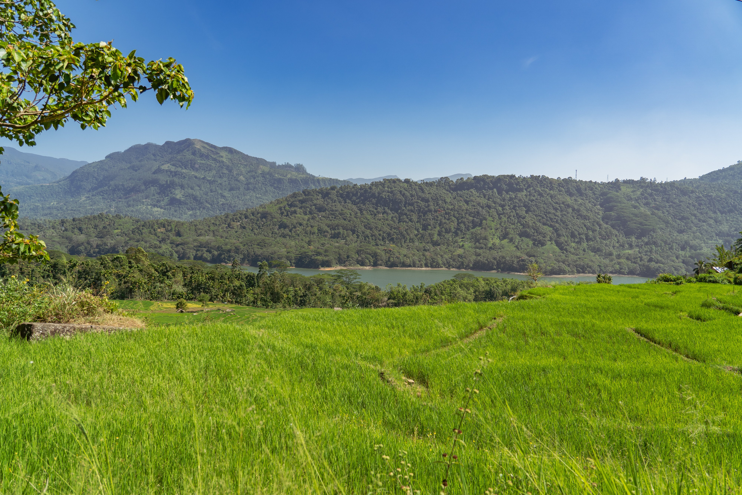 Promo content shooting for Ceylon Forward Tours