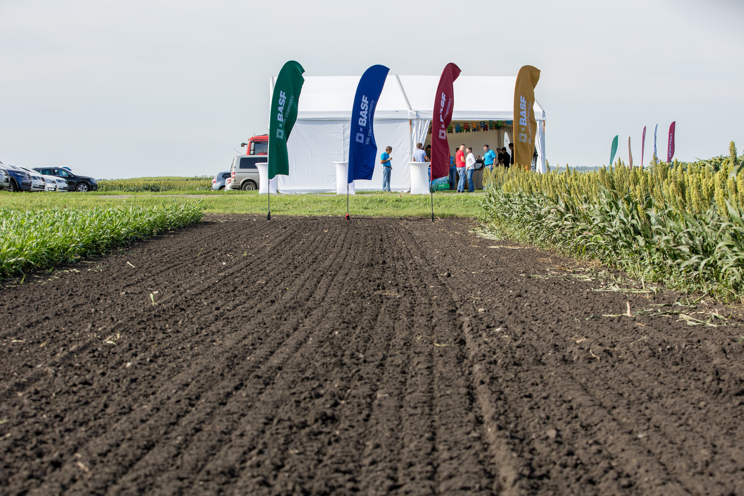 Решения для сельского хозяйства BASF 16.08.2022. Владислав Волков | Фотография и видеосъемка в Воронеже