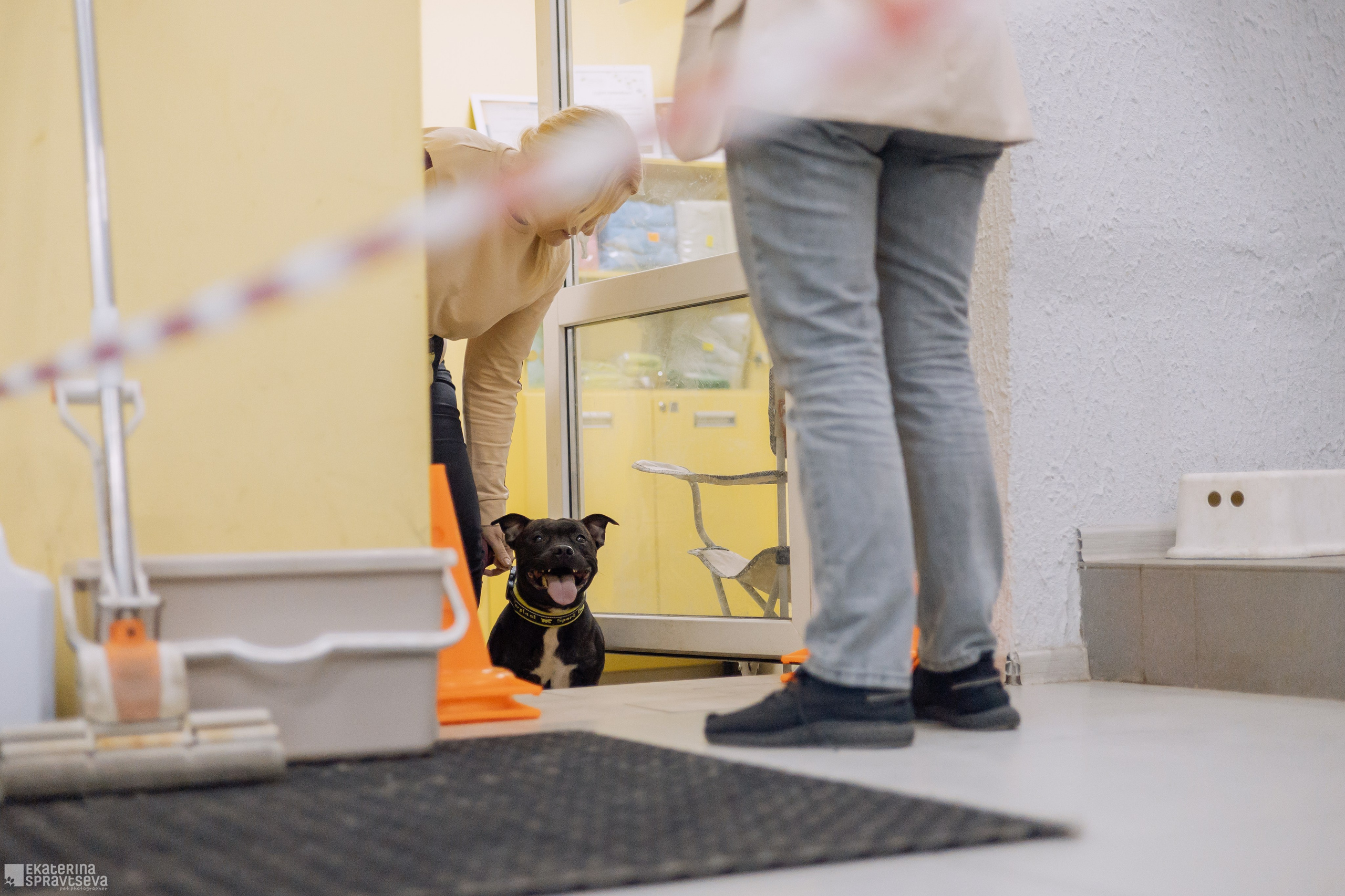 Праздник NoseWork. Фотограф Анималист Екатерина Справцева в Нижнем Новгороде