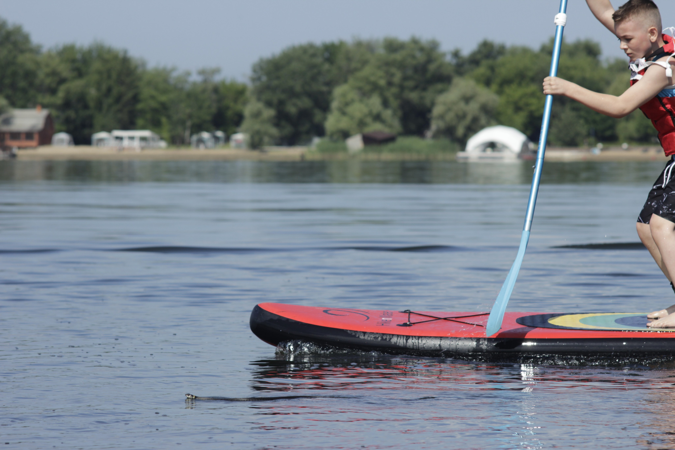 Сёрфинг в Саратове!. Фотокрыжовник. Снимаем, дружим, путешествуем