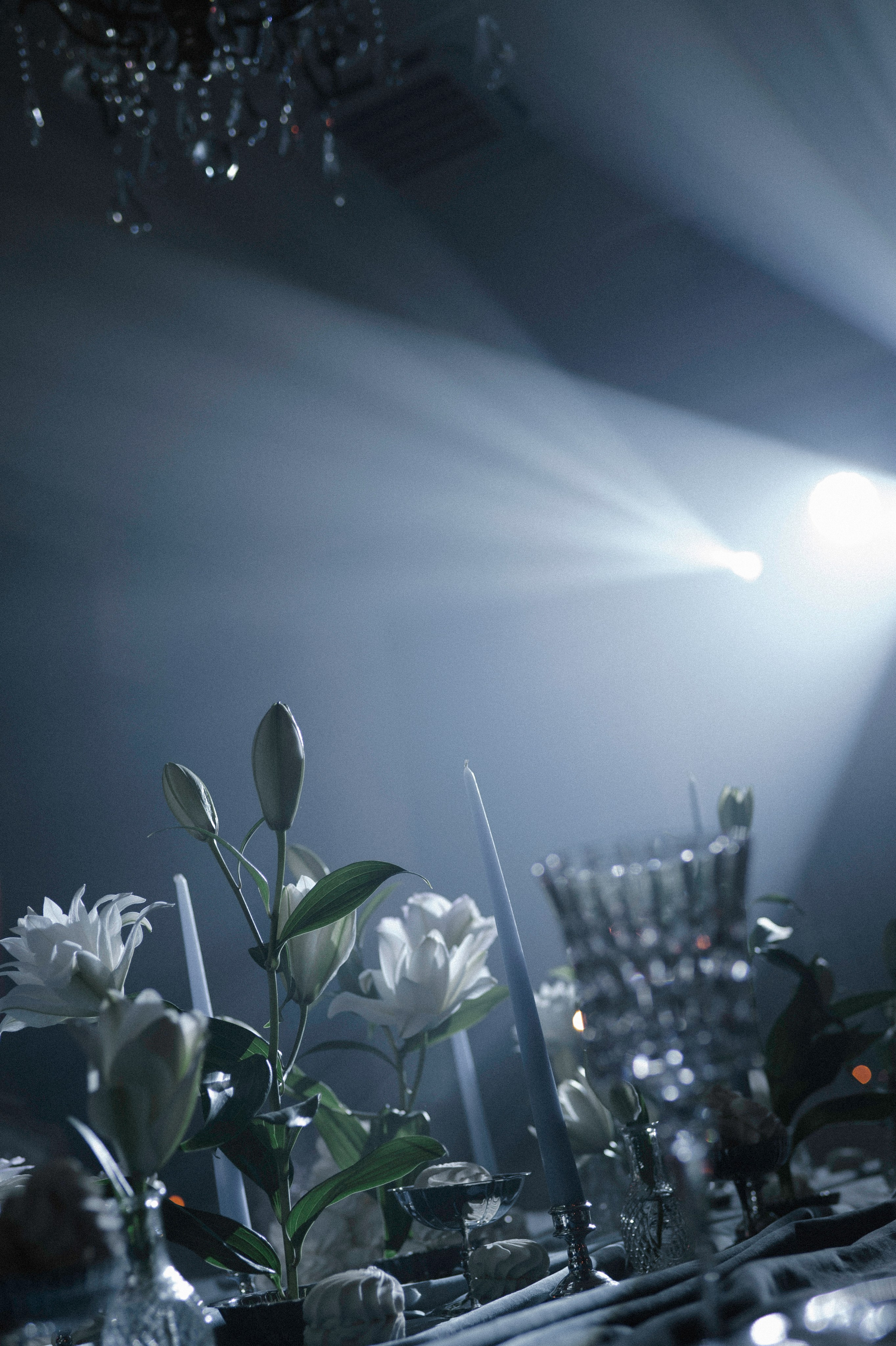 Свадьбы. Фотограф Тверь