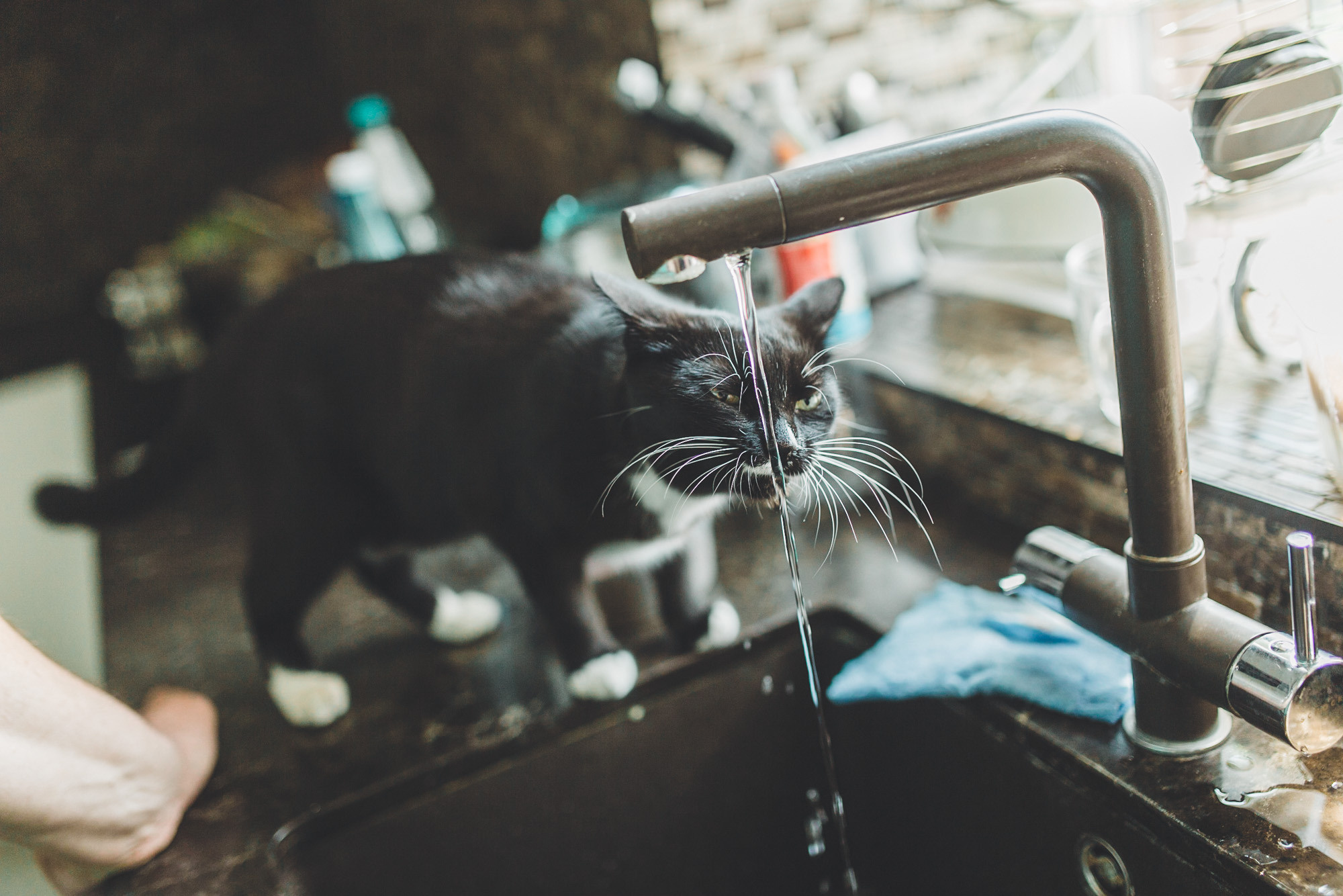 Քաղցր հարսանիքի օր. Հարսանեկան լուսանկարչություն Հայաստանում Ադամյանների ընտանիքի կողմից