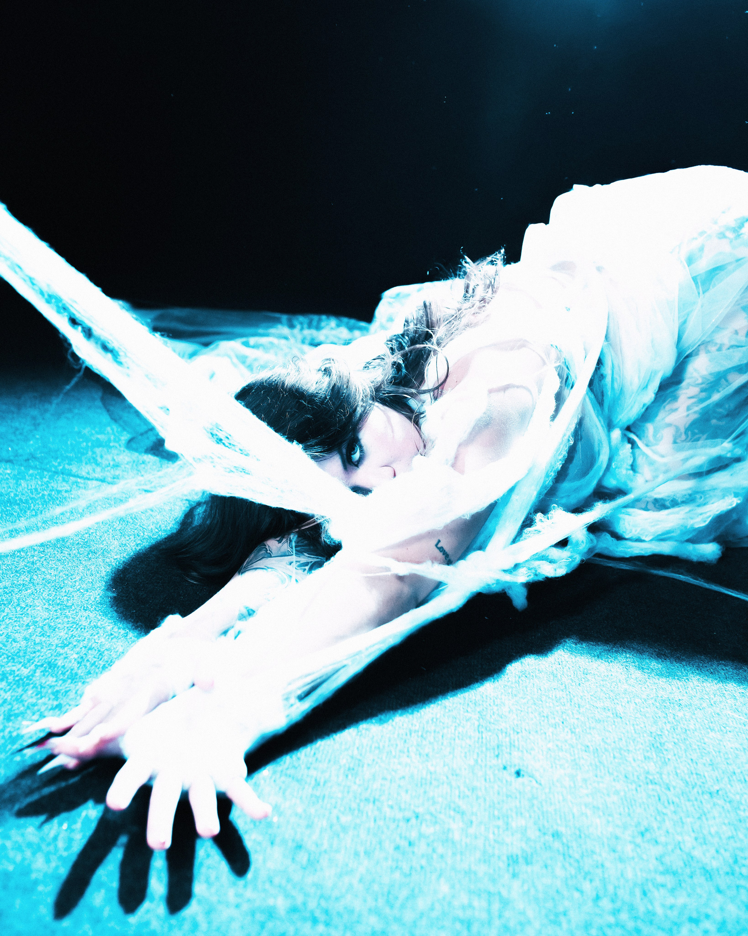 Diibae spider. Фотограф из Санкт-Петербурга Валерия Ленских