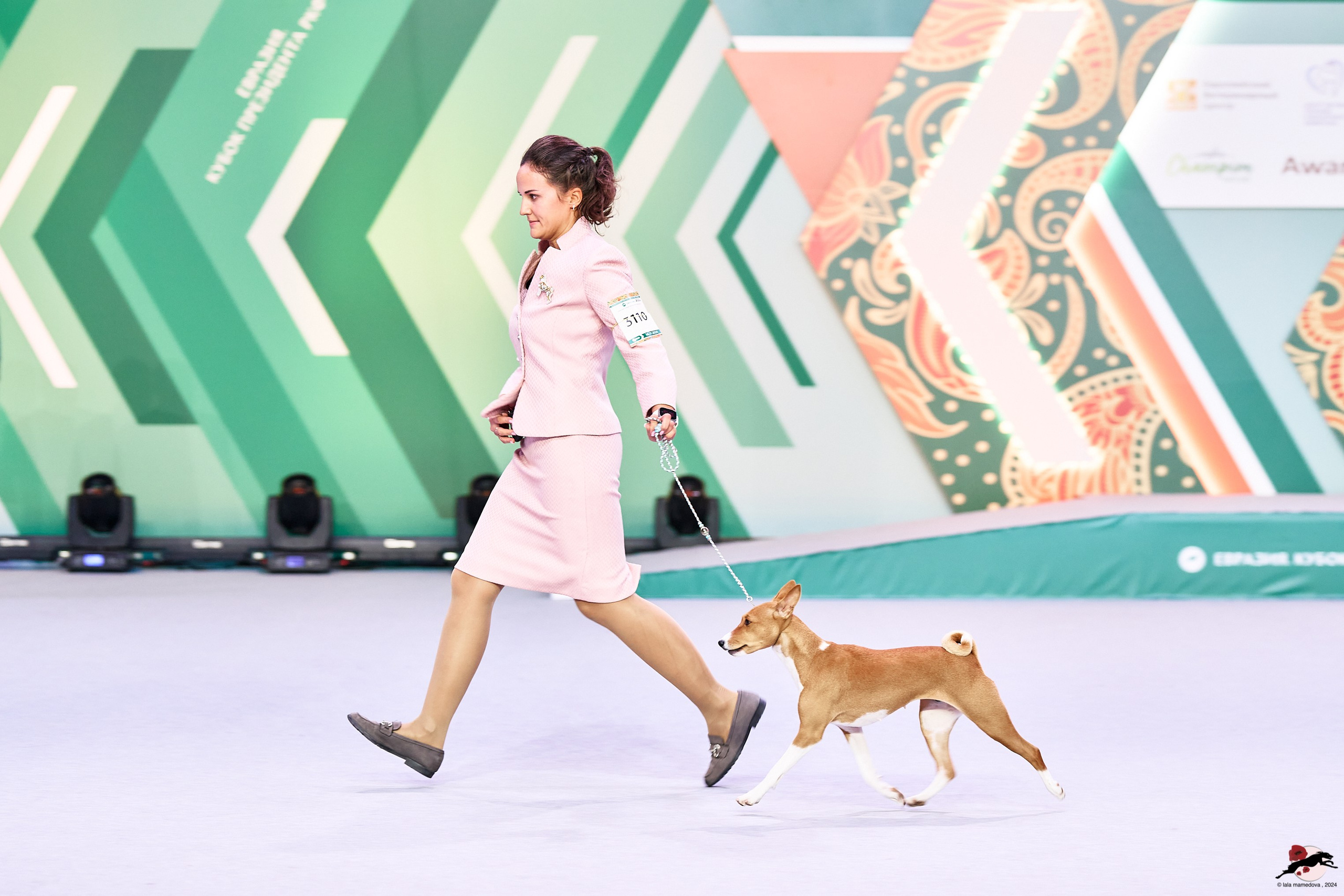 16.11.2024 «ЕВРАЗИЯ. КУБОК ПРЕЗИДЕНТА РКФ 2024»