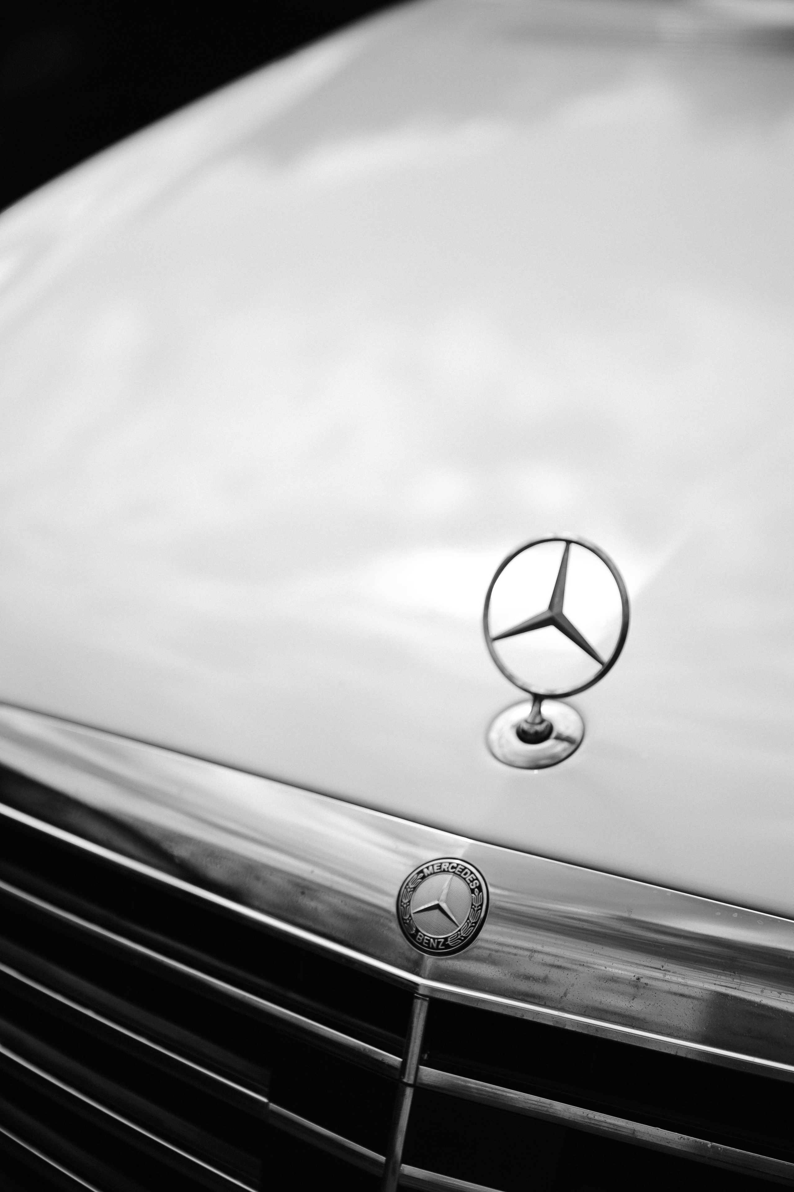 Любовь. Свадебный фотограф Алина Хабарова