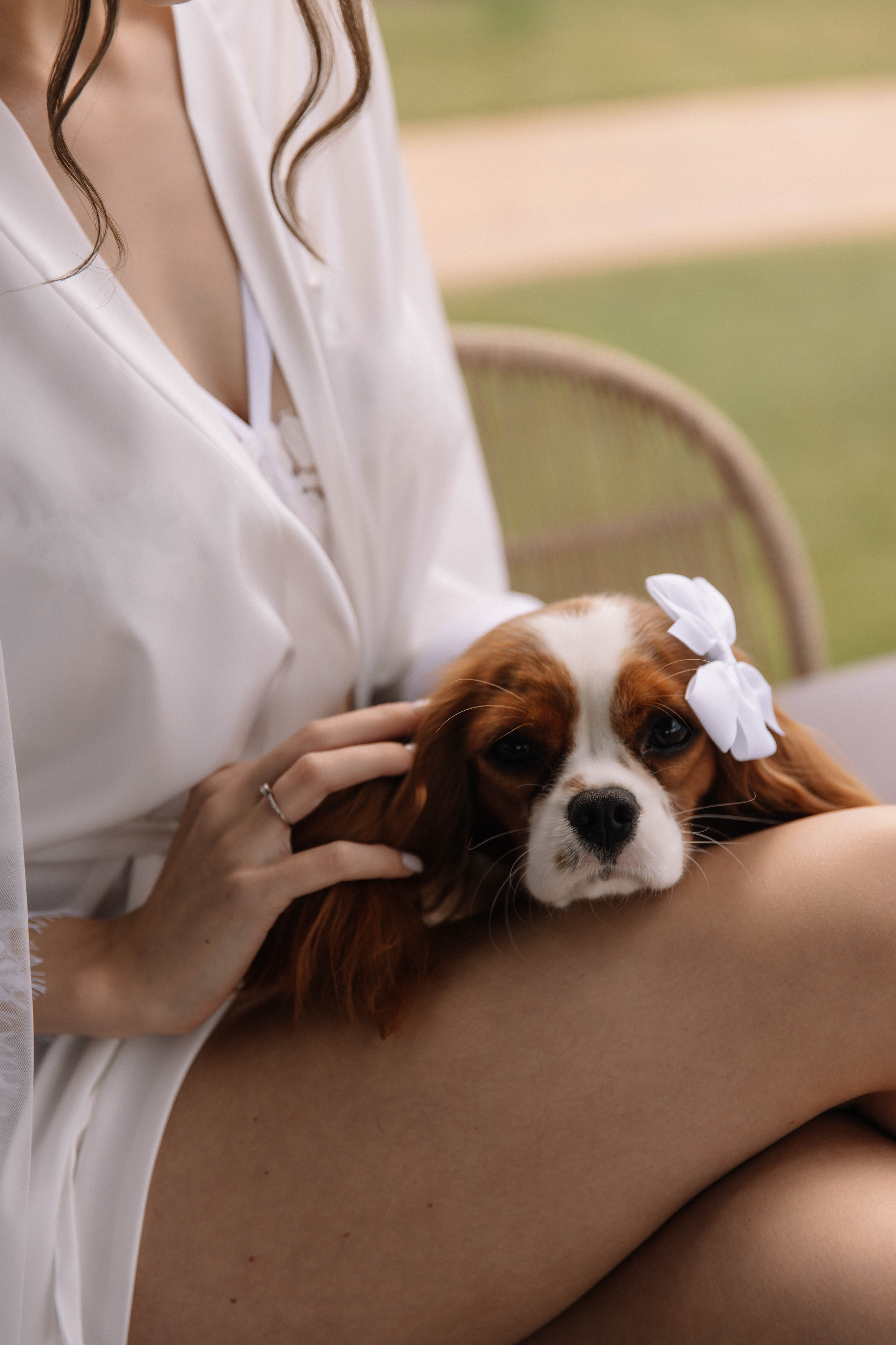 V & I. Свадебный фотограф Алина Хабарова