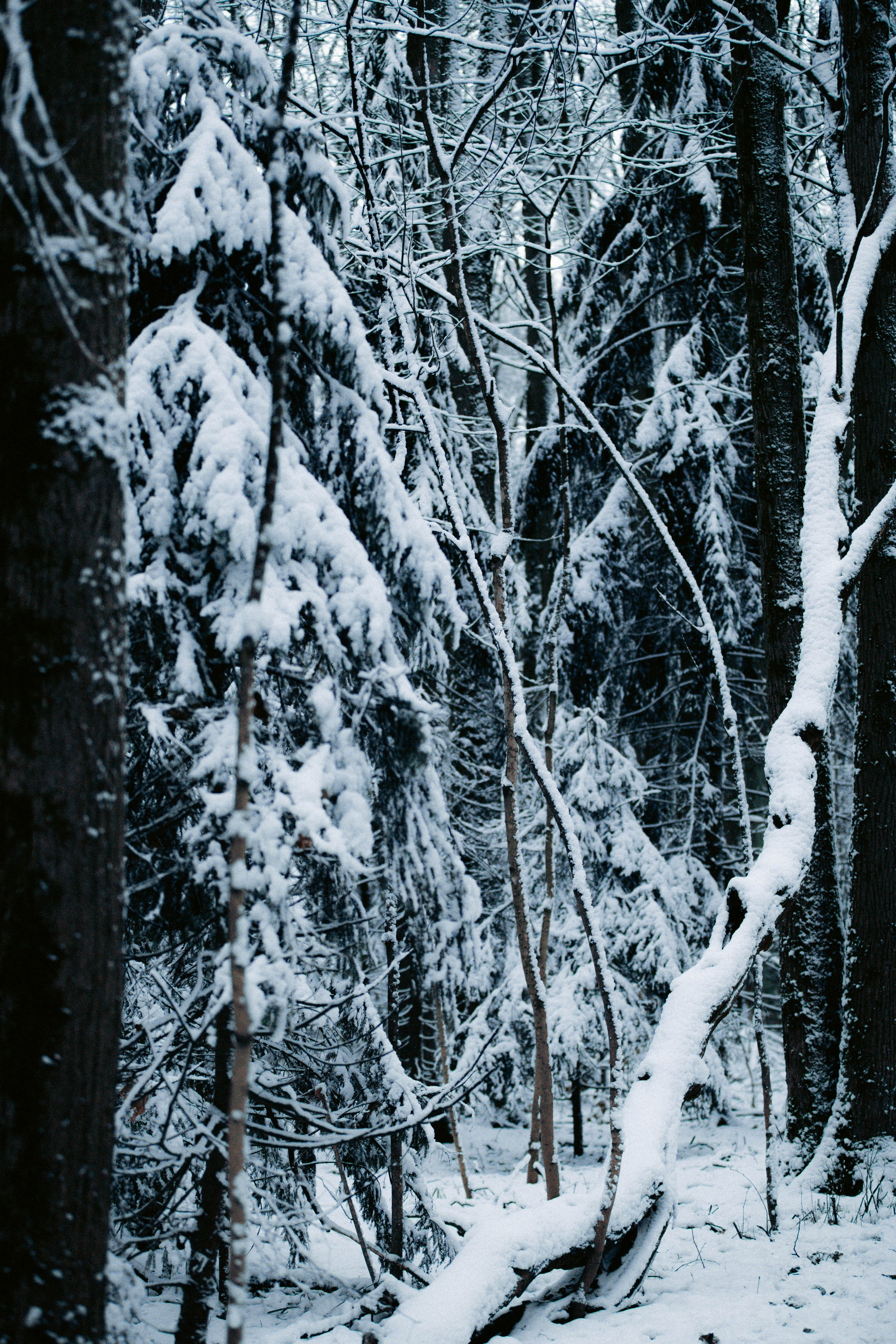 Марафон у дома_Бунино. Александра Мельниченко/ Бегающий фотограф