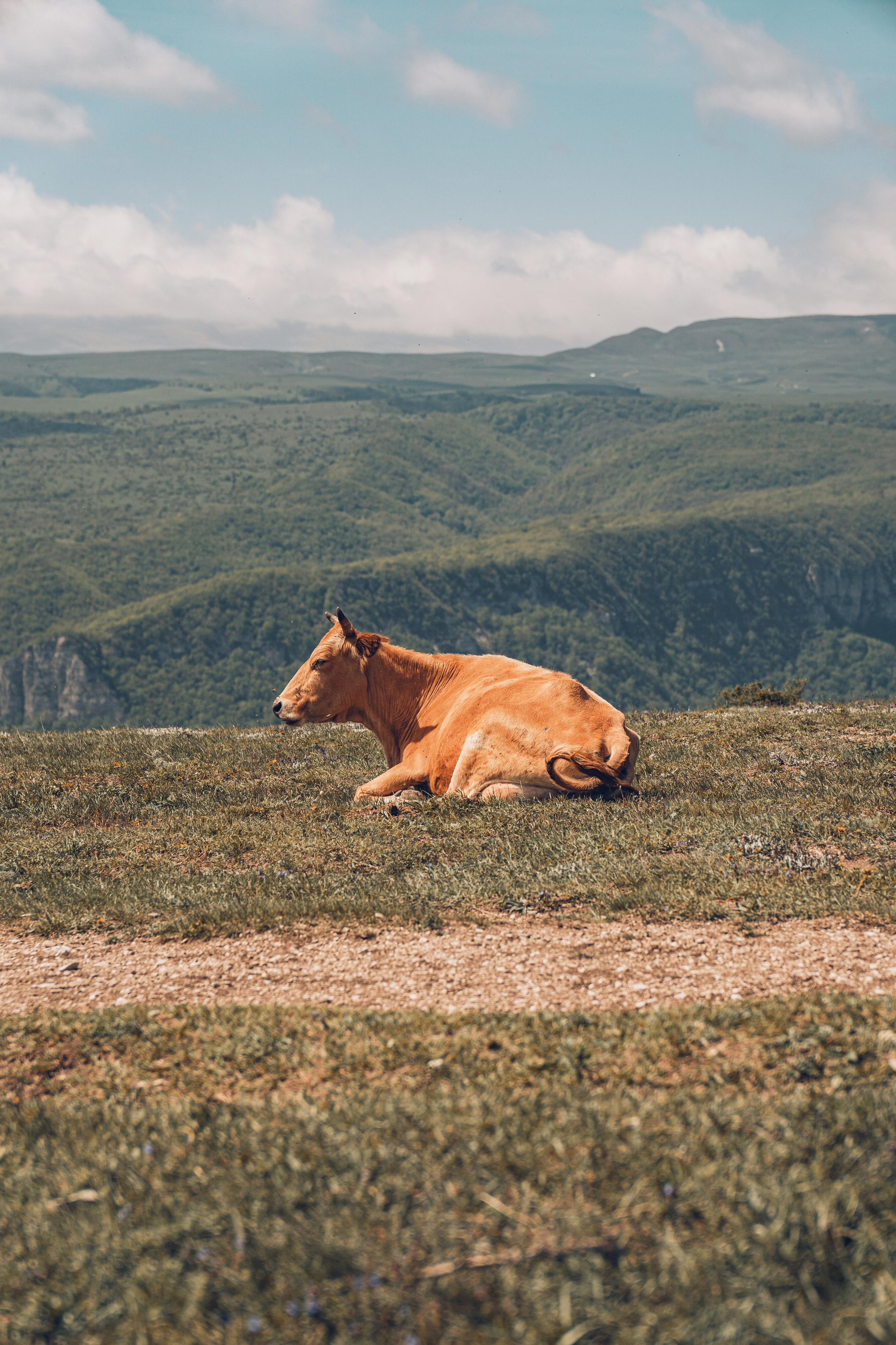 Дагестан. Gusarov Travel Photography