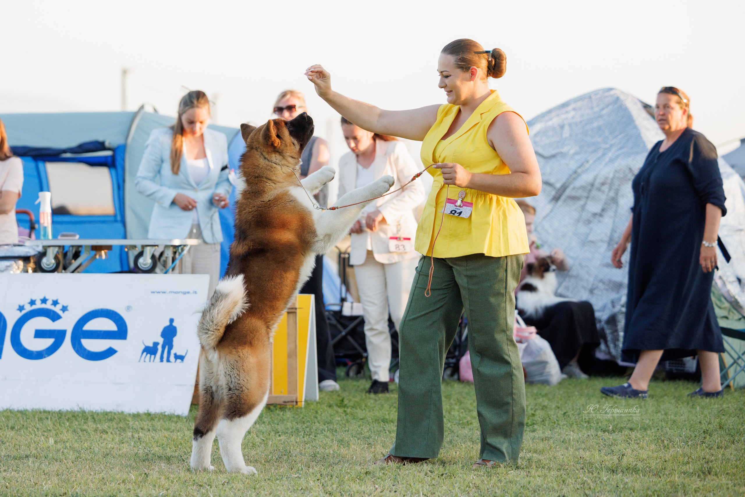 Ереван 3хCACIB 23-25.06.2025. Фотограф-анималист Юлия Германика