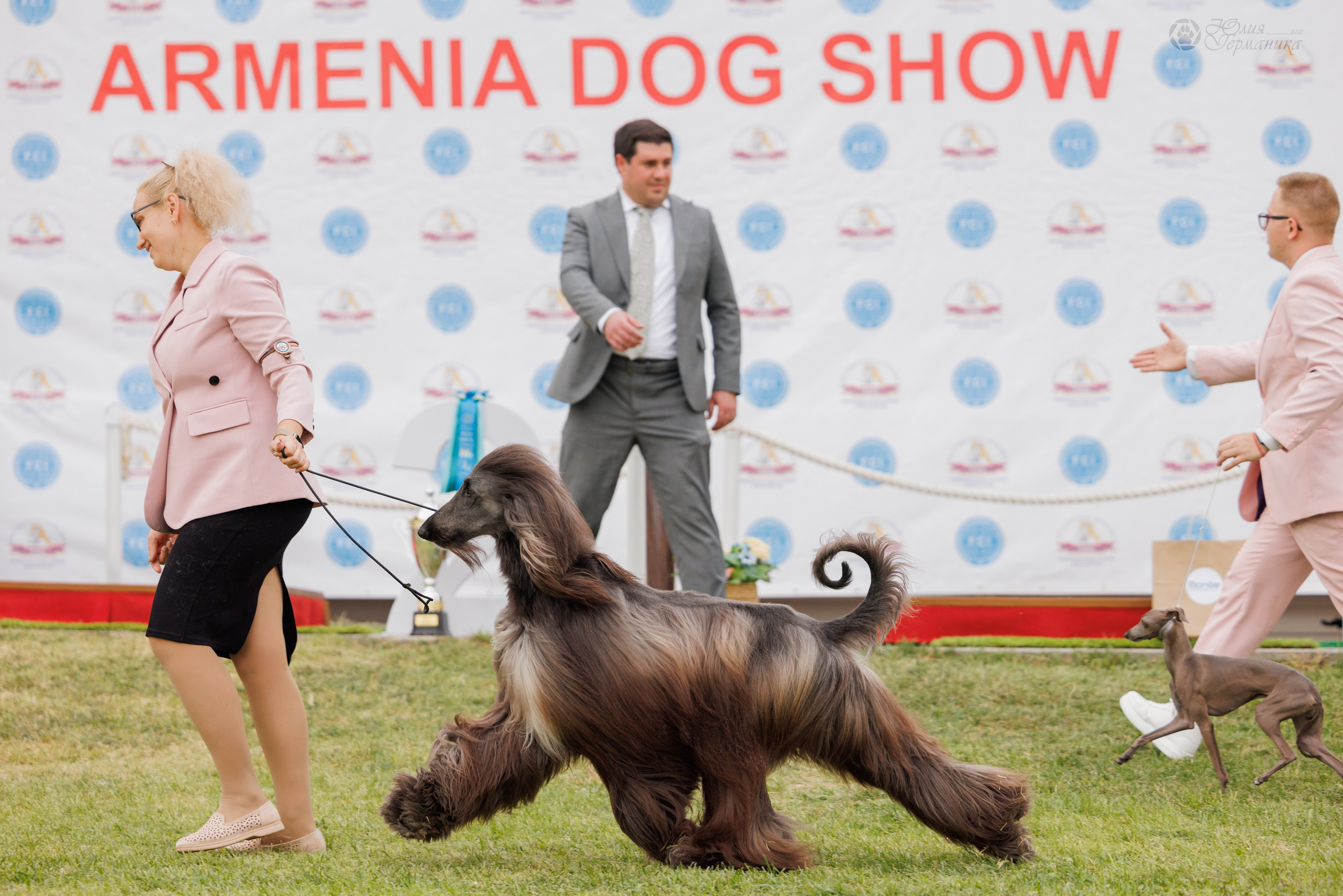 Армения,Ереван 3хCACIB 15-17.10.2024. Фотограф-анималист Юлия Германика