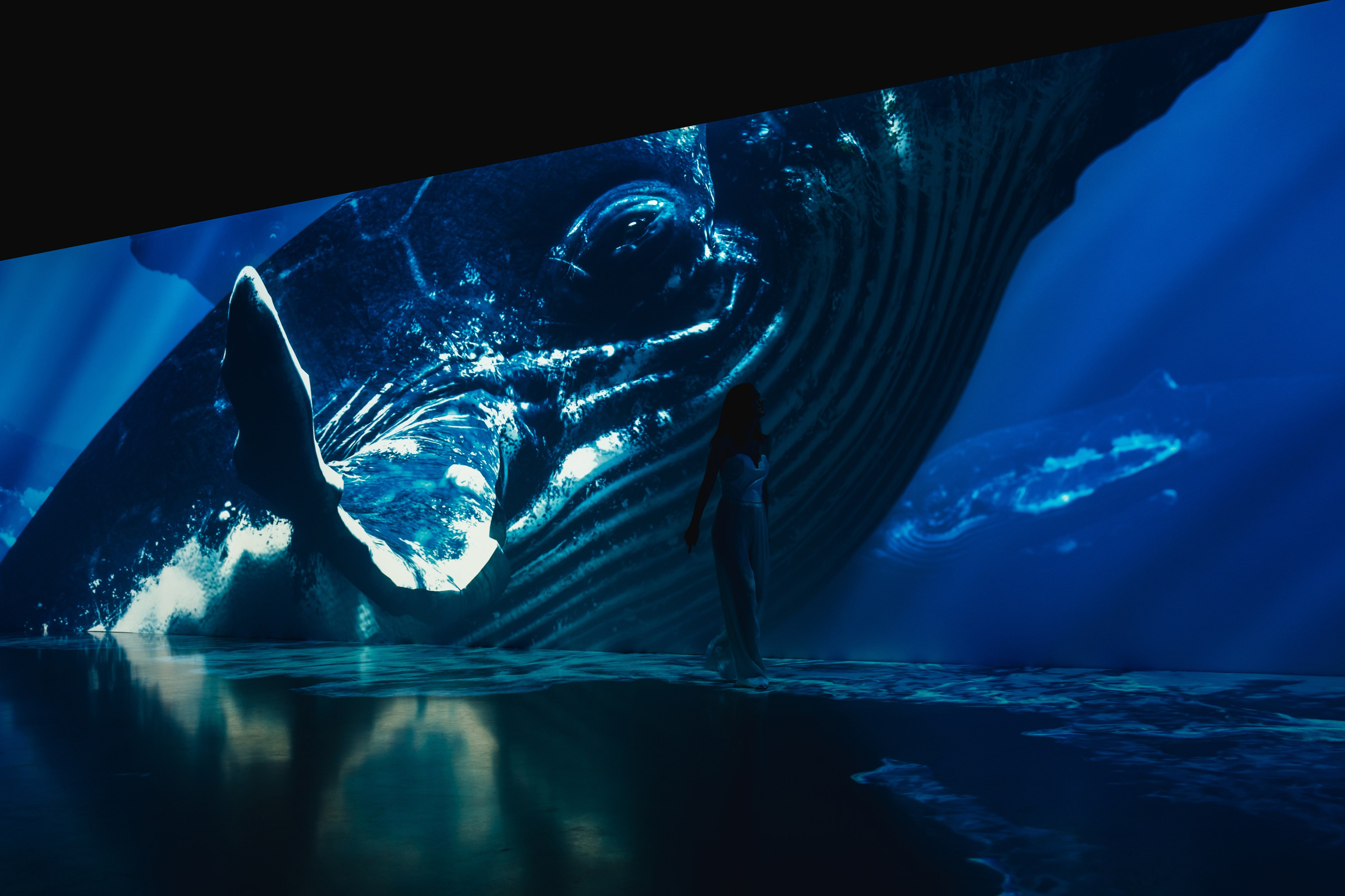 VI Ocean, Tutankhamun, SILA SVETA. @tomrus: Рустам Шагиморданов — фотограф