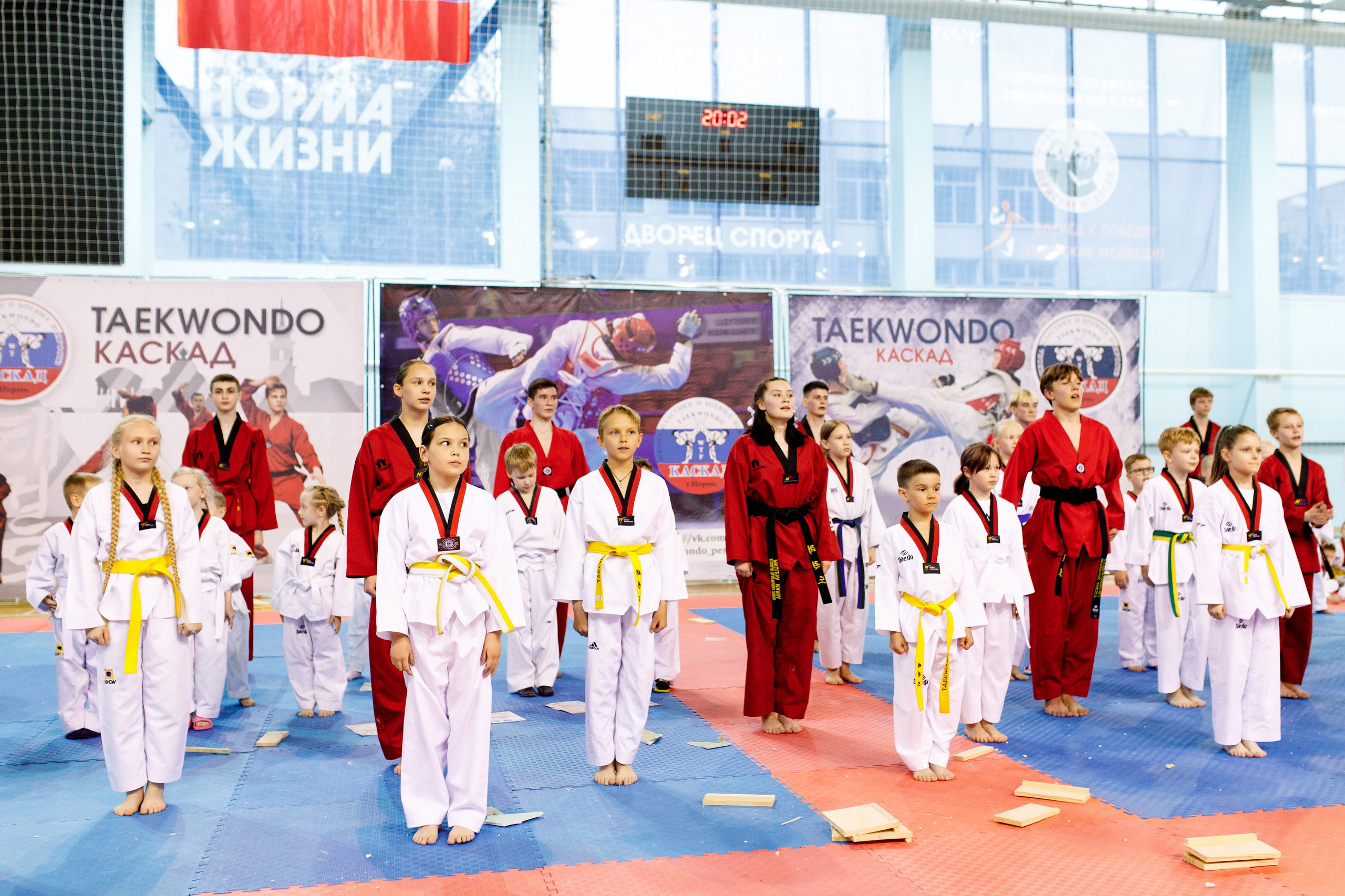 Тхэквондо СК «Каскад». Фотограф Дмитрий Молчанов | Фотограф Пермь | Фотограф