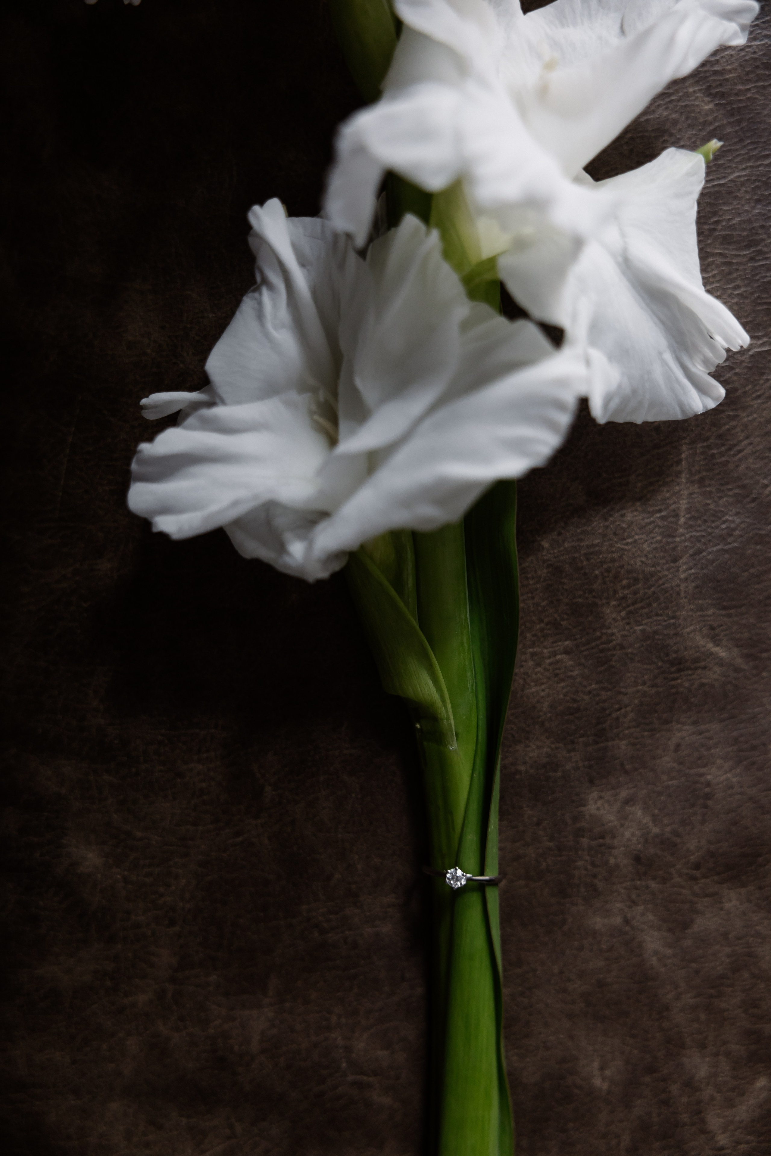 Андрей & Анастасия. RETOUCH-HOUSE