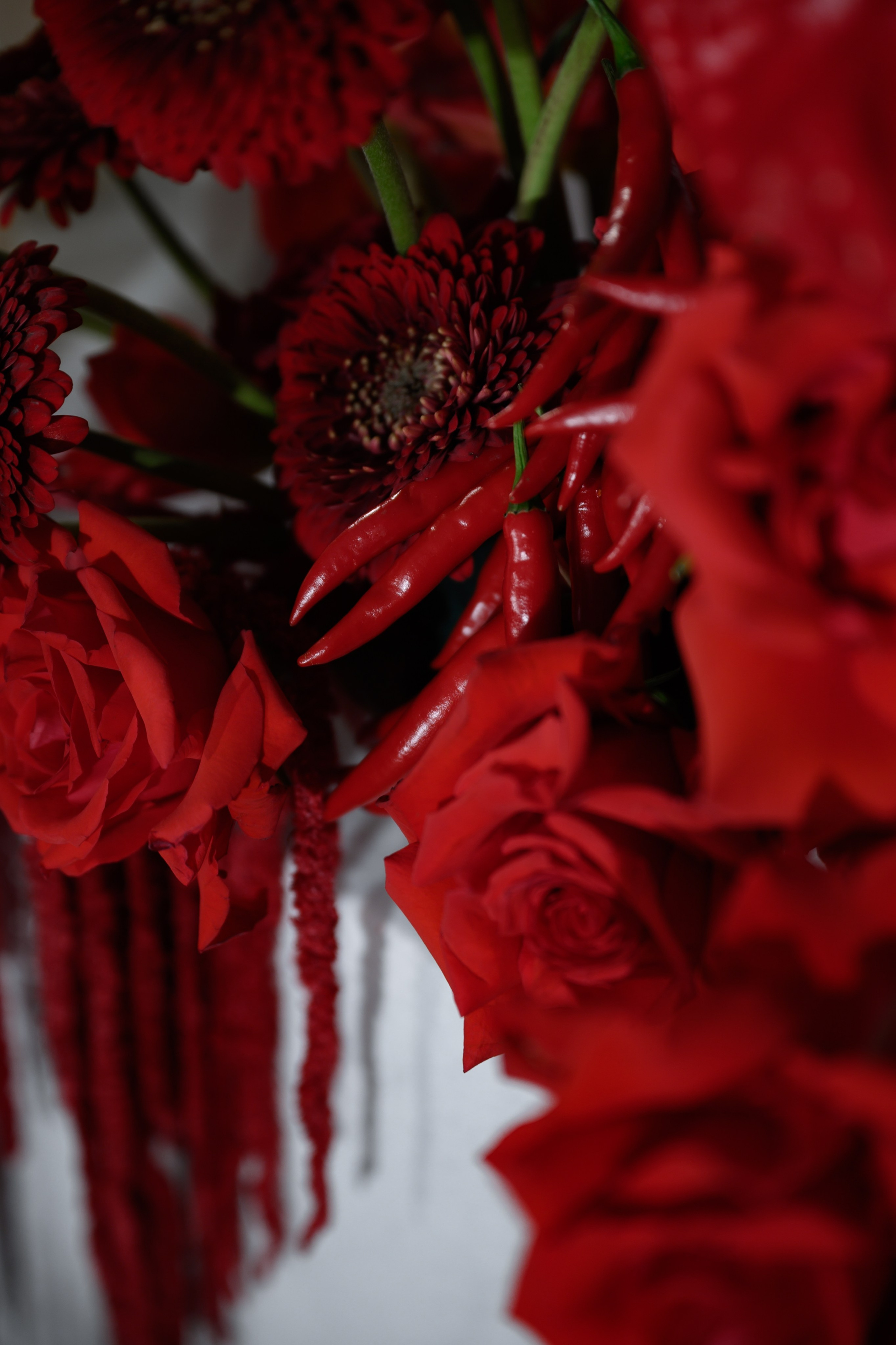 12.11.2024. RETOUCH-HOUSE