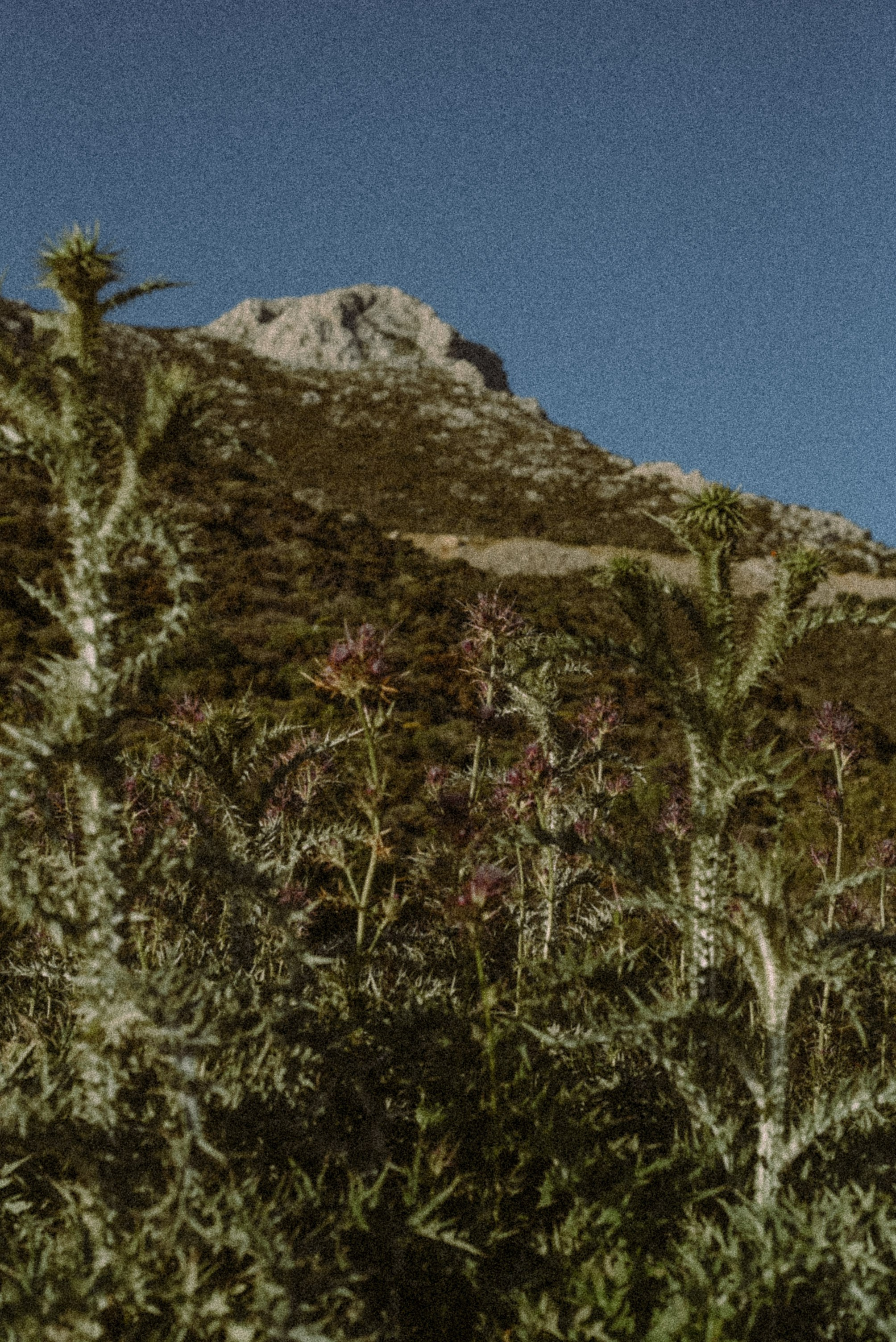 Калимнос Пасха 2025. Anita_photo