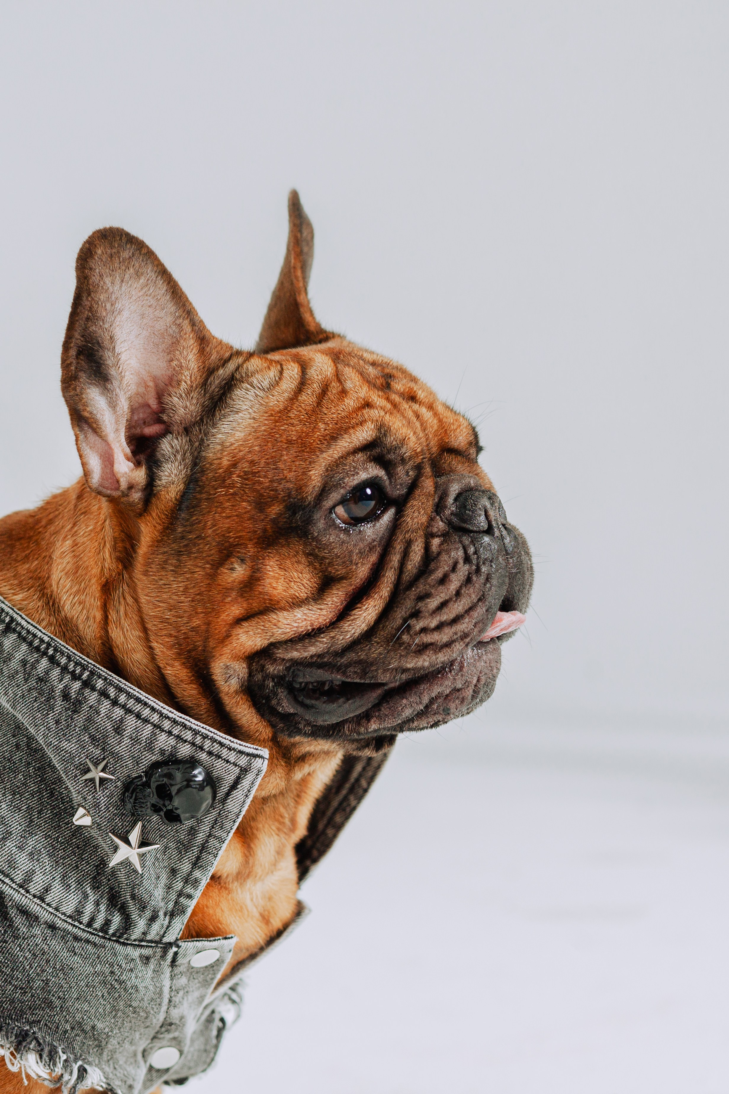 Бульвстреча 2025. Фотограф-анималист Татьяна Степанова