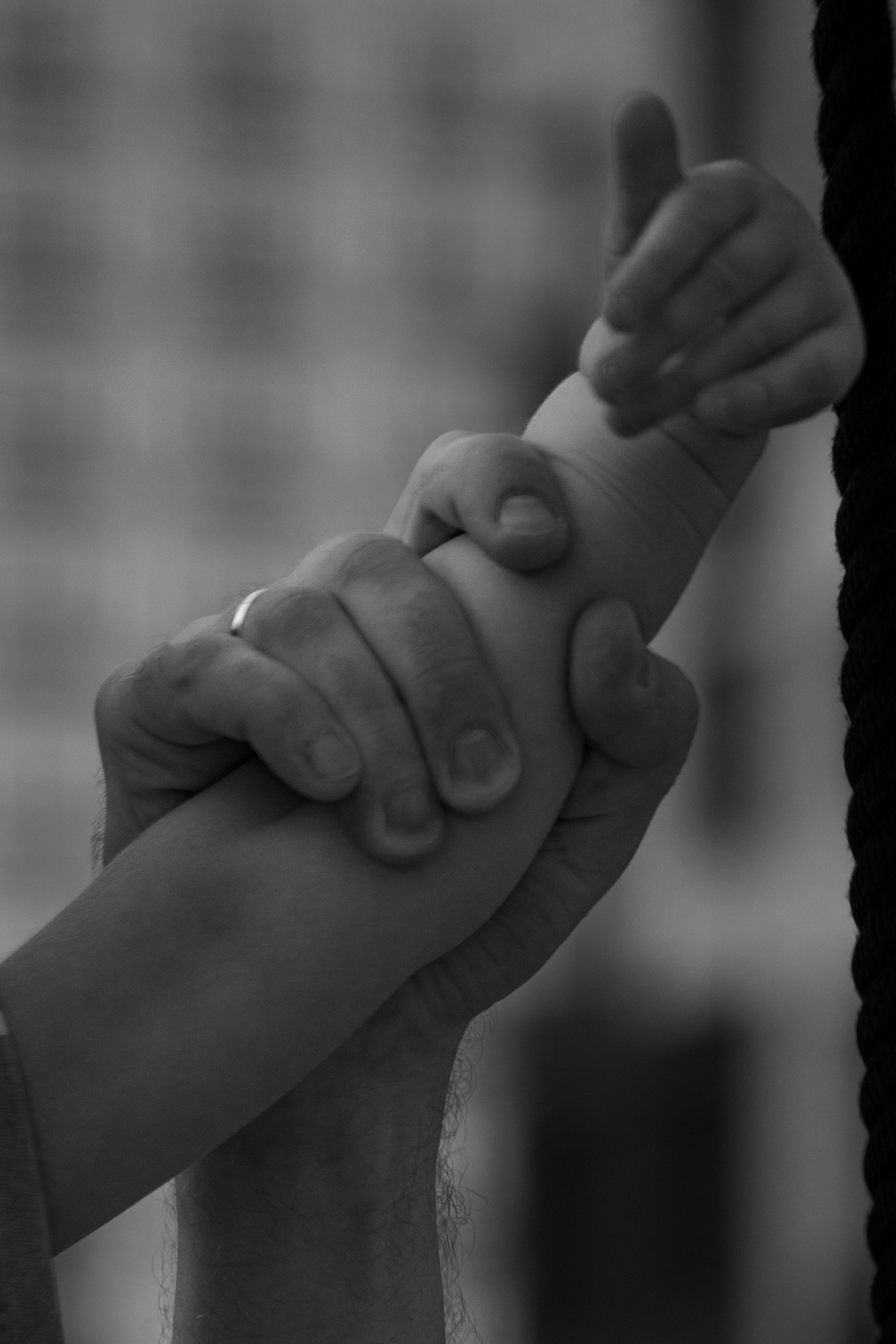 Семья Брыжак. Свадебный фотограф Руслан Хасанов