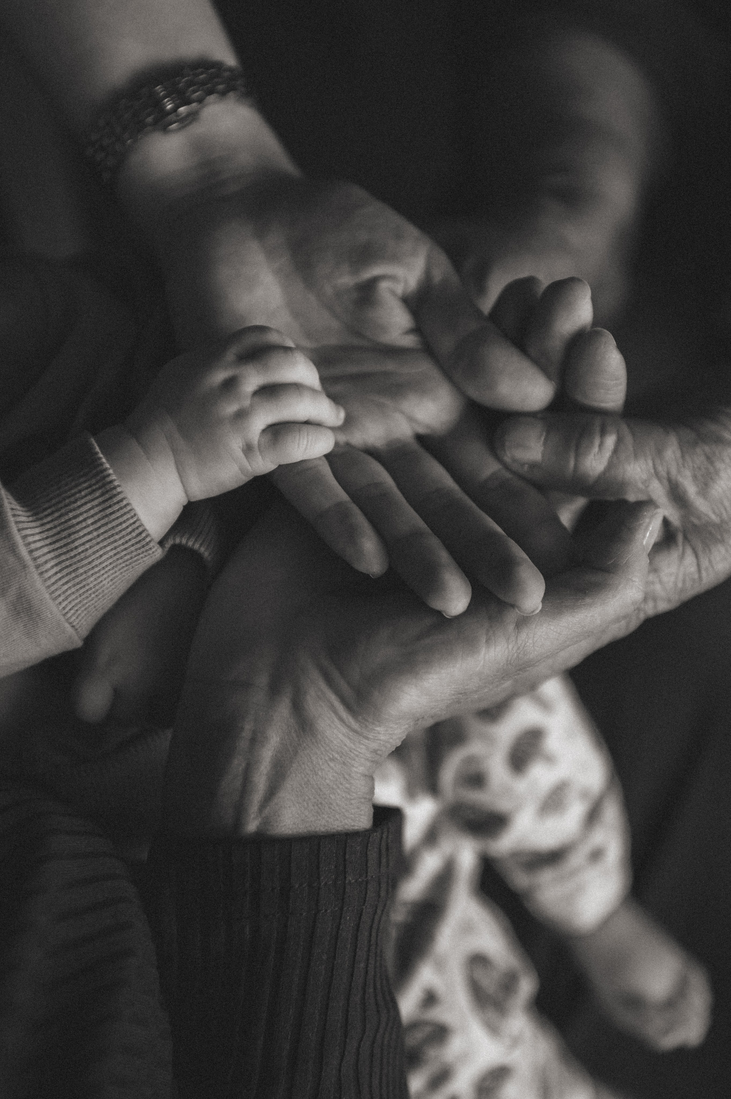 Домашняя съёмка «ПОКОЛЕНИЕ». Семейный фотограф в г. Ставрополь, Сорокина Мария