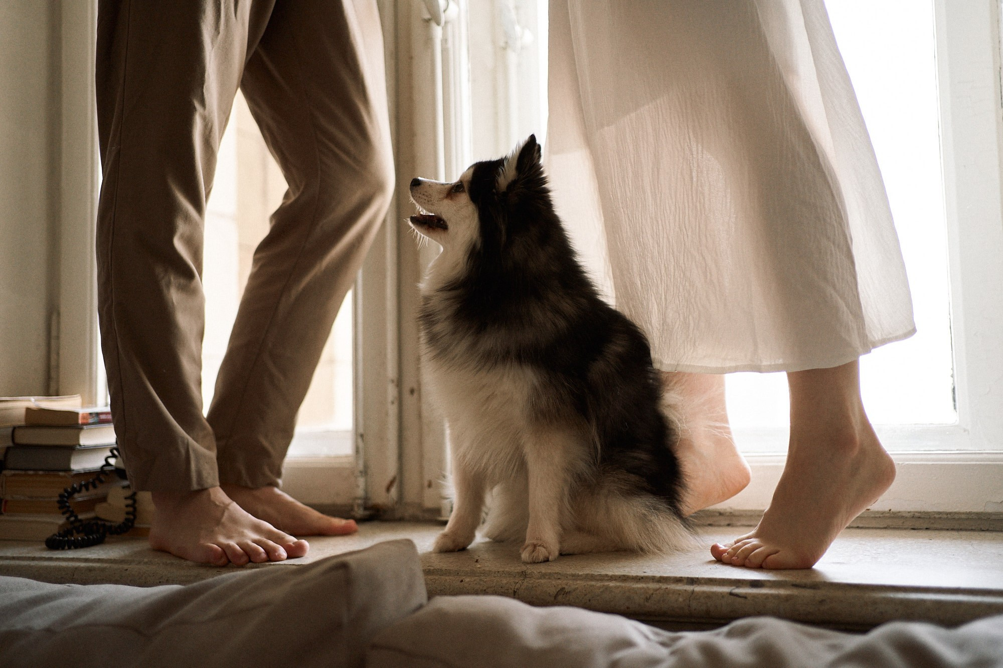 Маша, Ваня и Марс. Фотограф анималист Москва Дарья