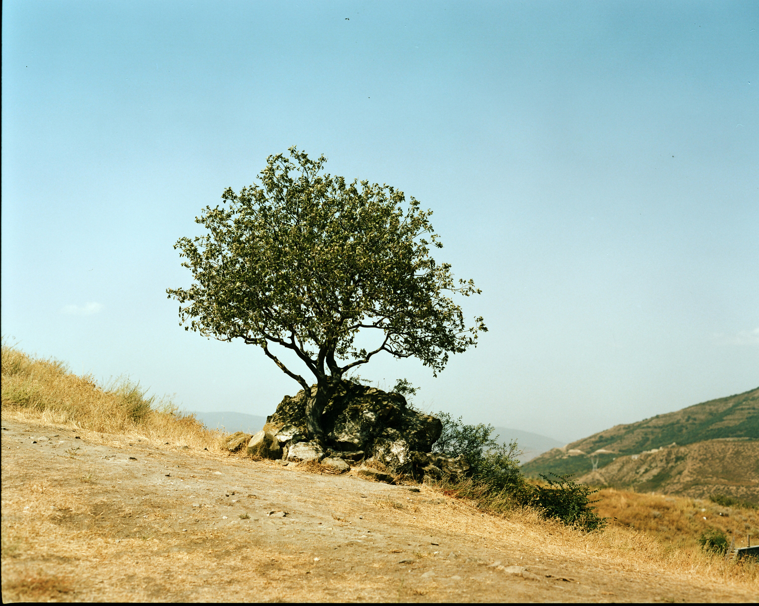 Travel. Yana Bulgakova Photographhy