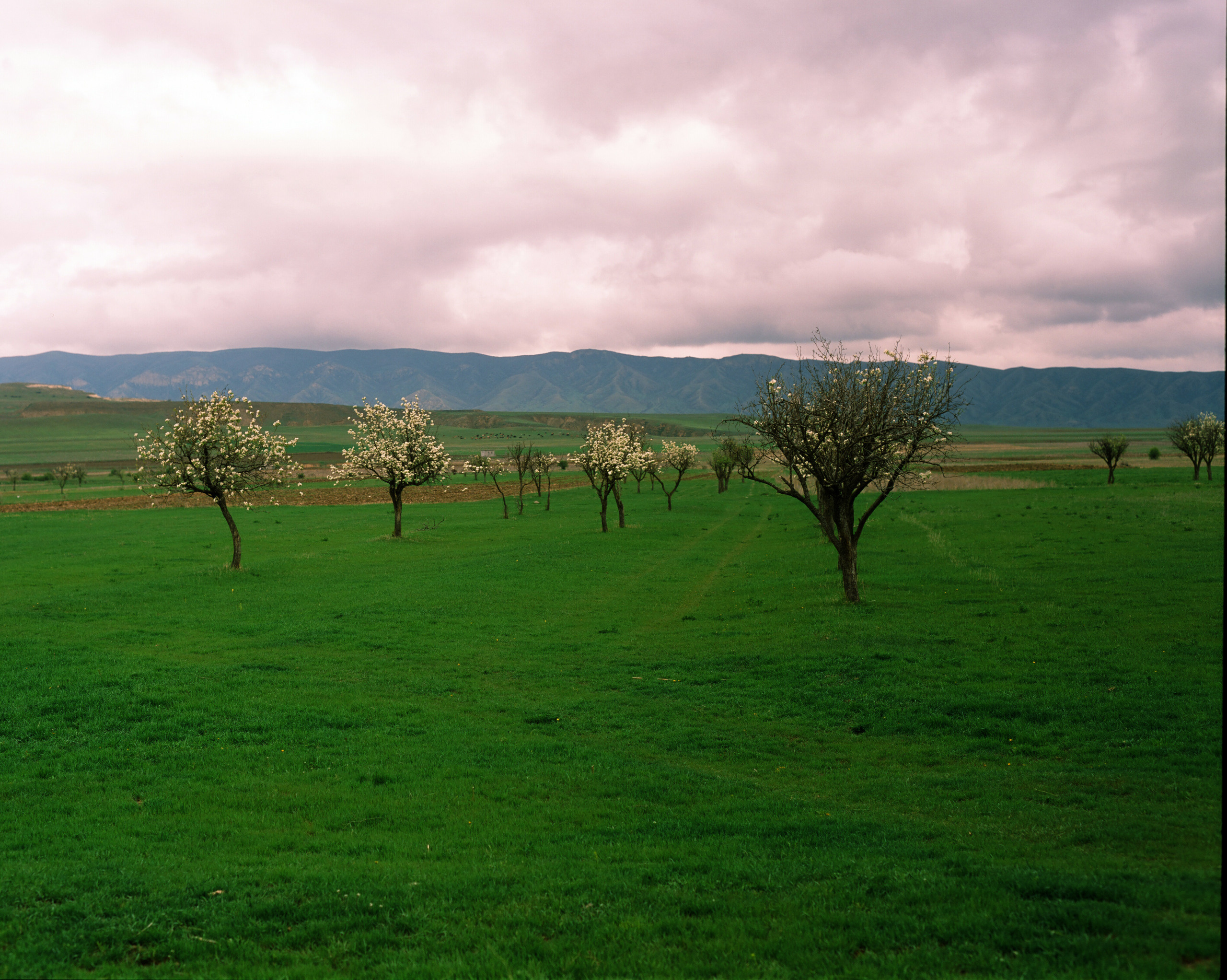 Travel. Yana Bulgakova Photographhy