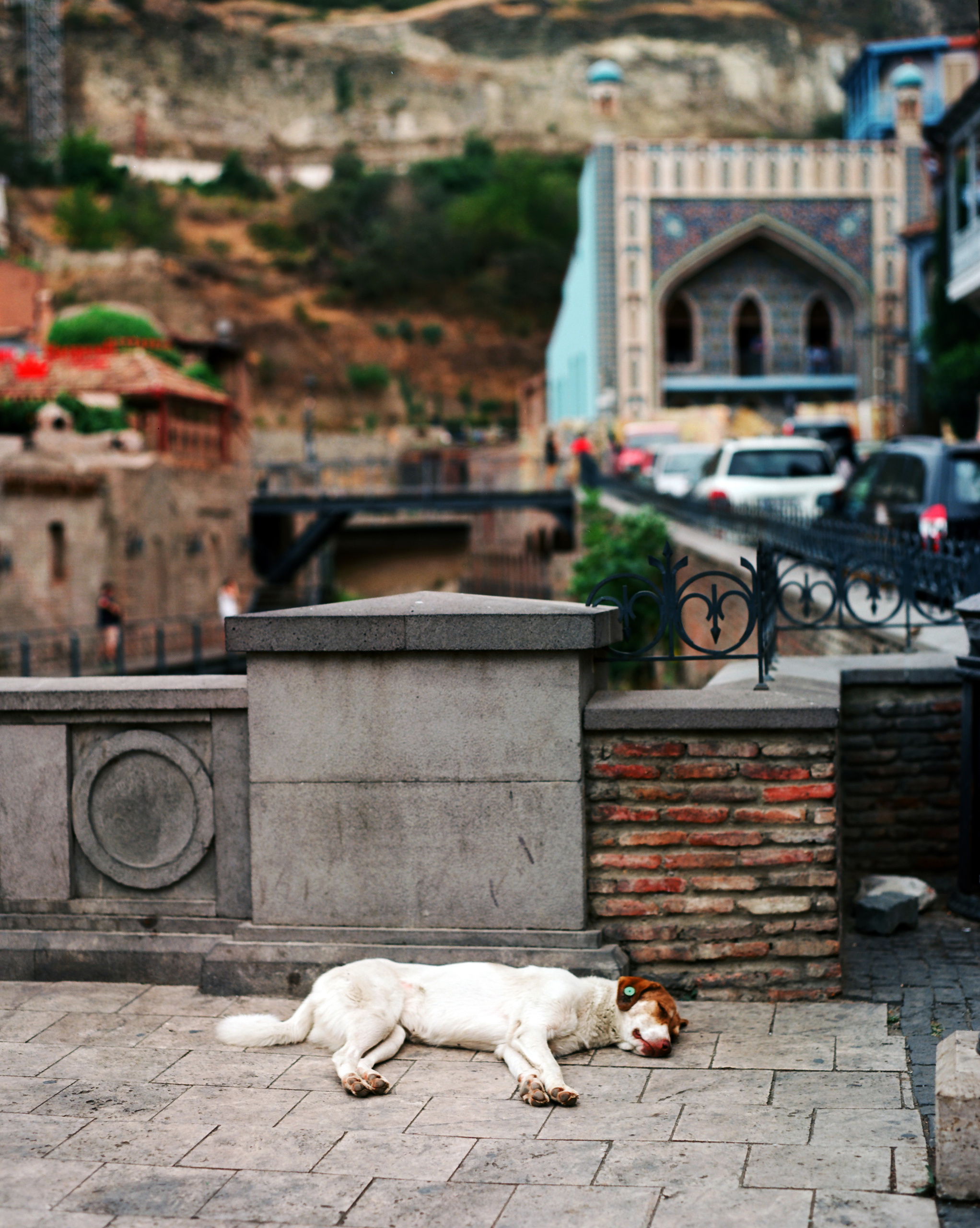 Travel. Yana Bulgakova Photographhy