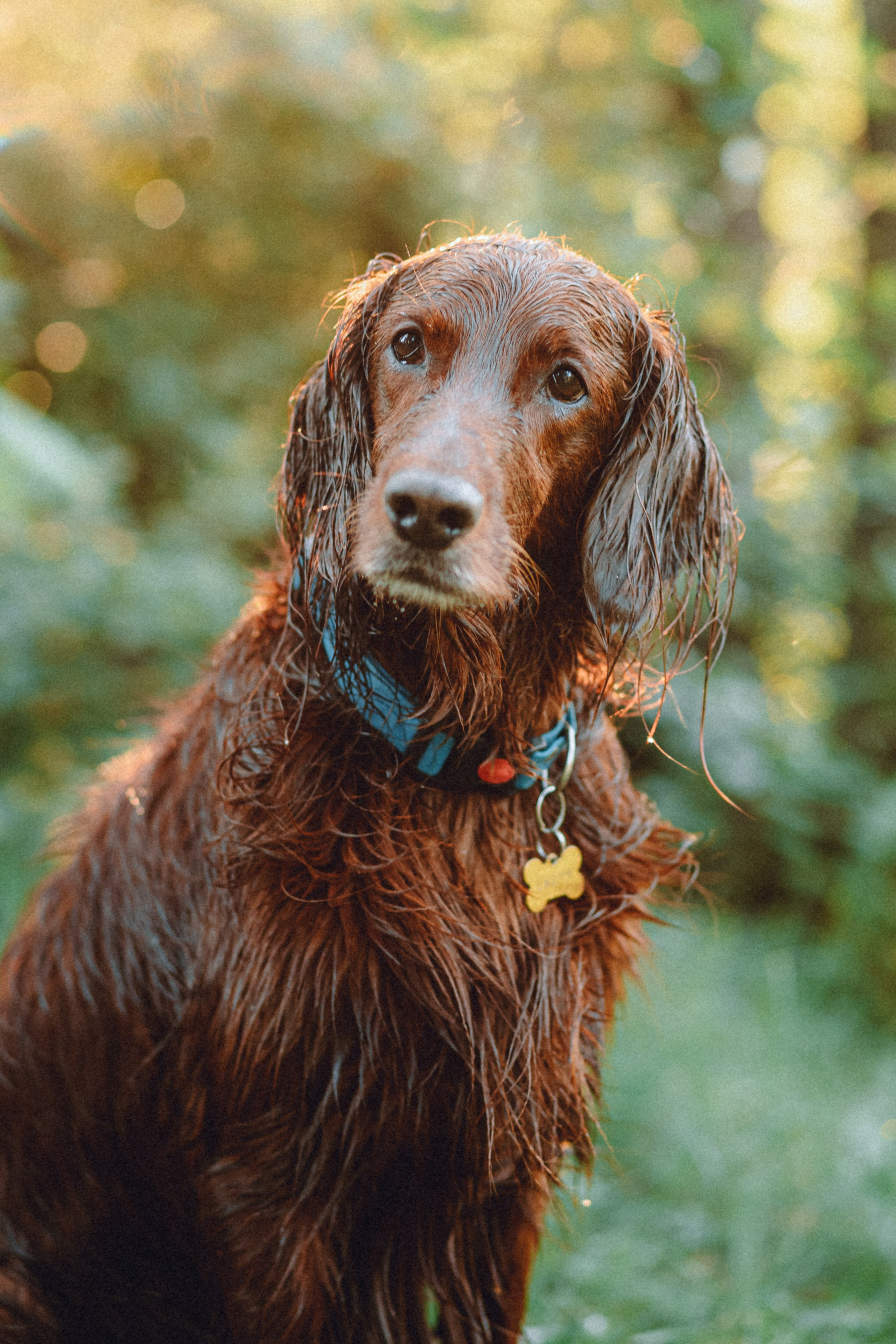 Маша и Джерри