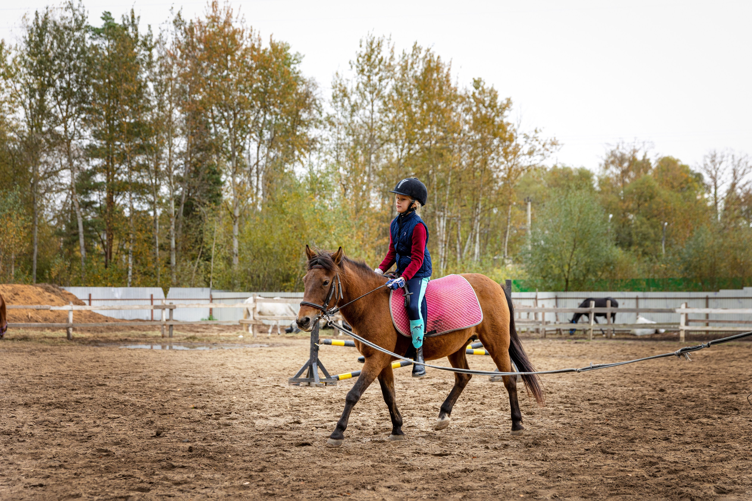 Конная тренировка Анастасии