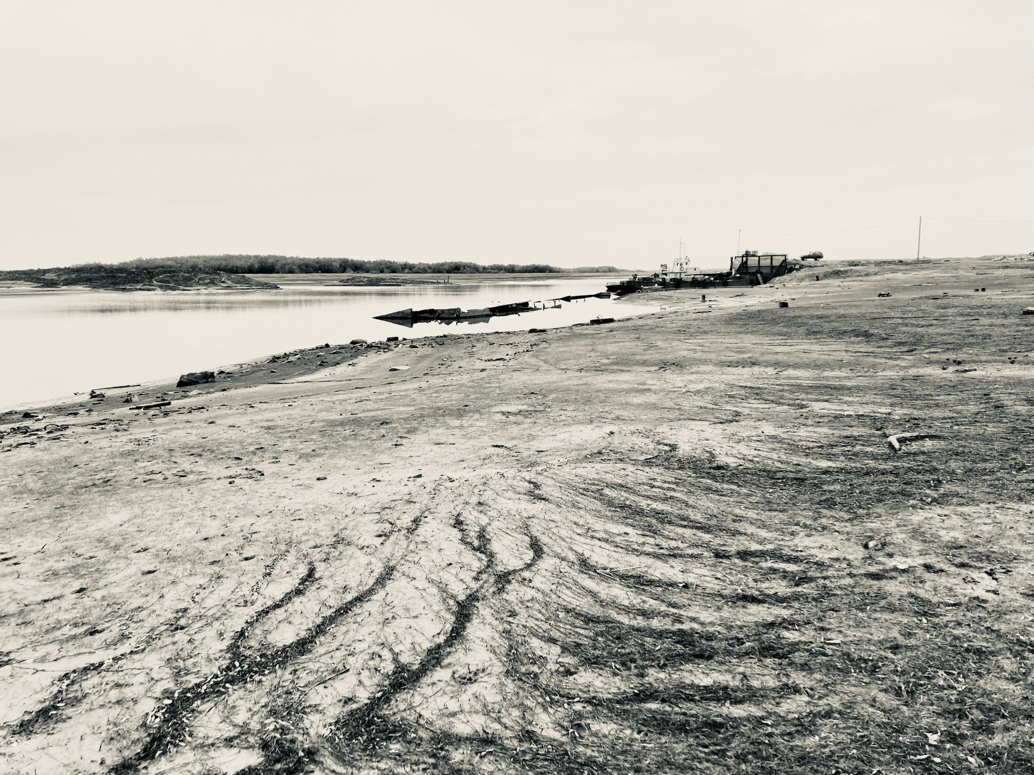 Черно-белое. Фотограф Екатерина Зорина