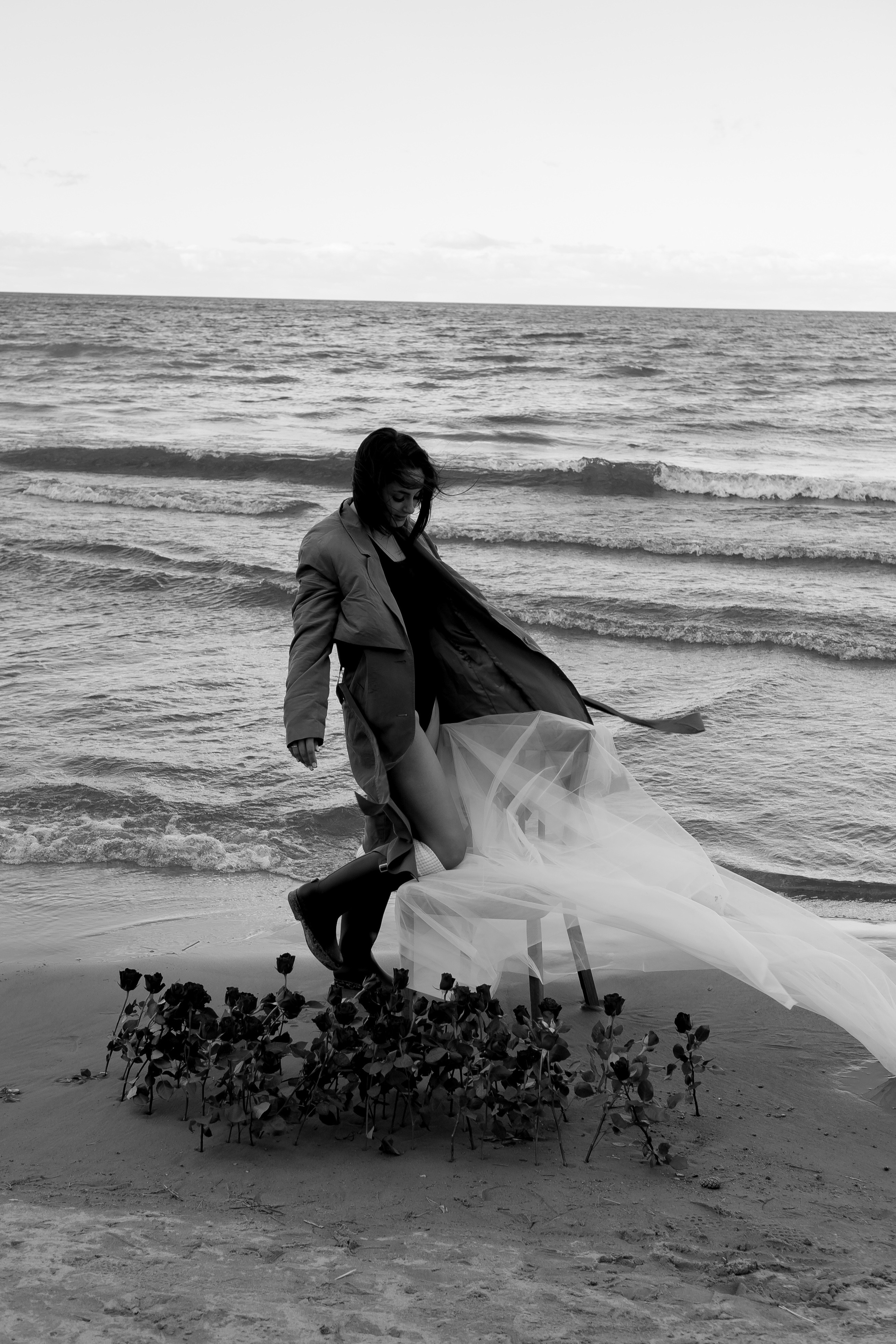 Розы. Профессиональный фотограф, Санкт-Петербург — Виктория Богомолова