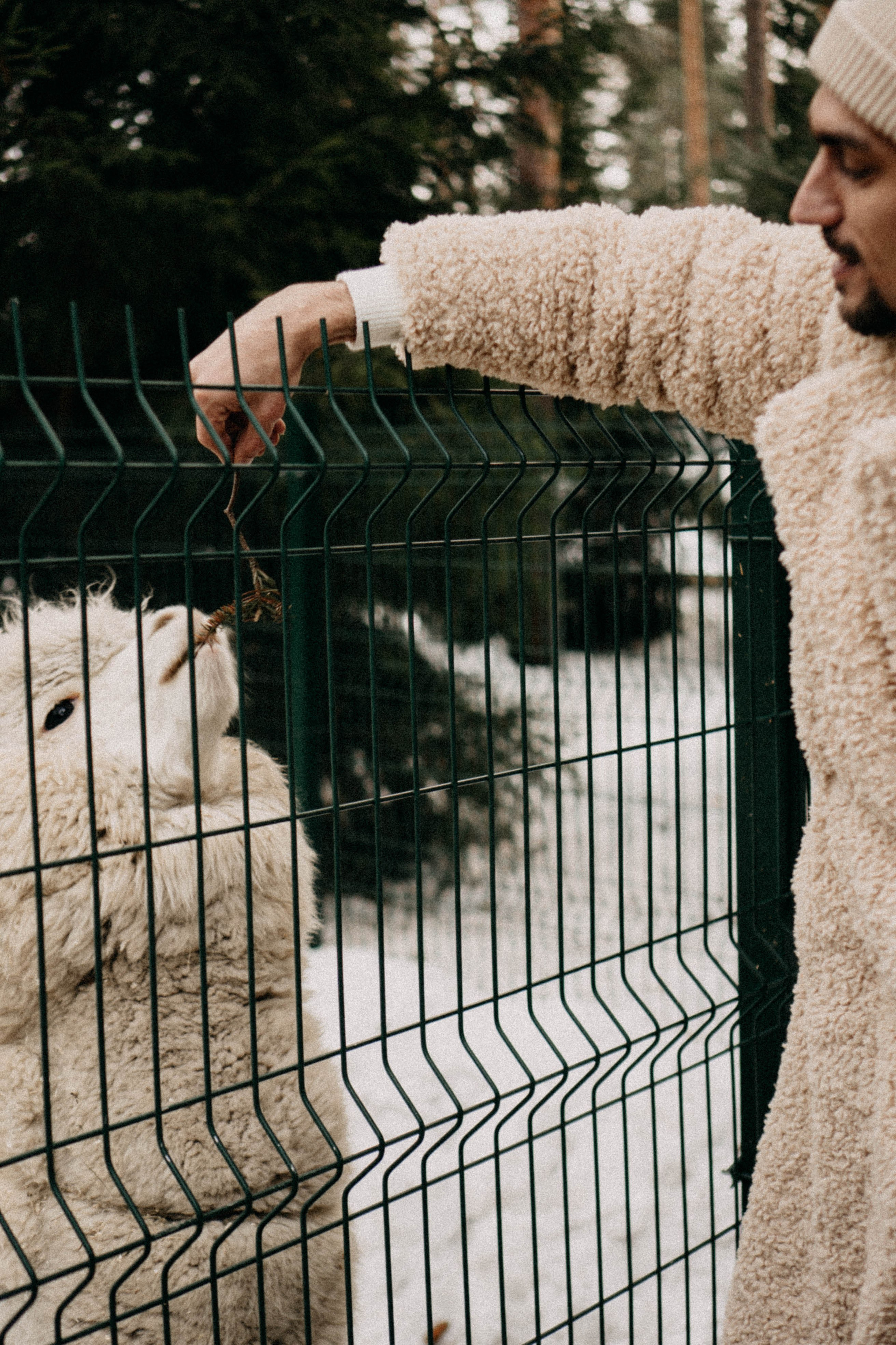 Каток. Профессиональный фотограф, Санкт-Петербург — Виктория Богомолова