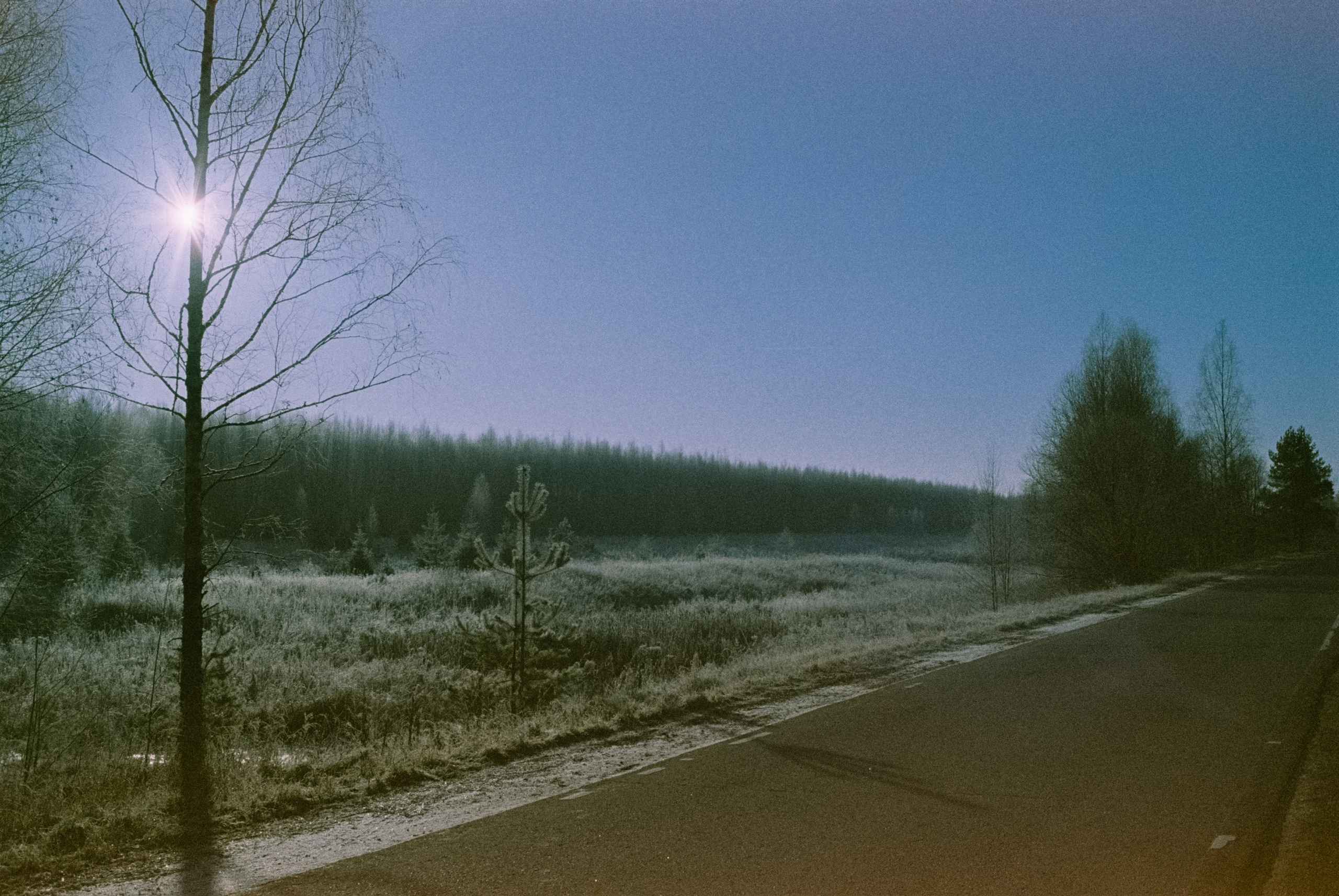 Minolta Hi-Matic 7sII / Kodak Color 200 (просрочка) / Лукино