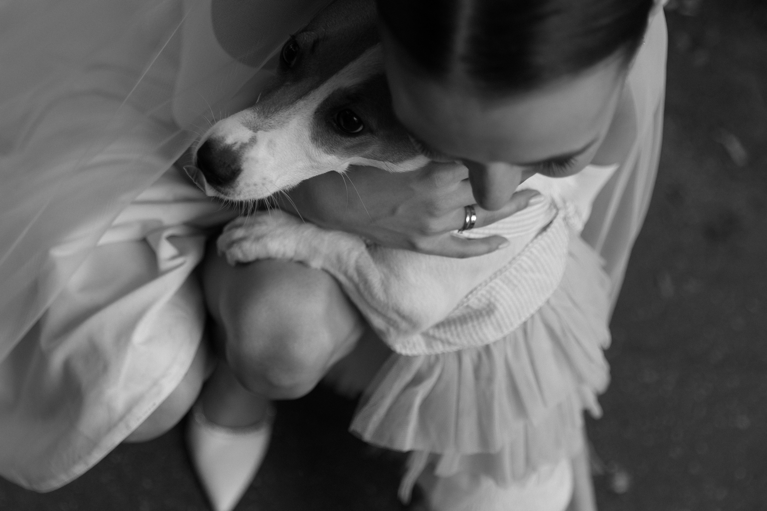 Даша и Тахир. Фотограф Нижний Новгород