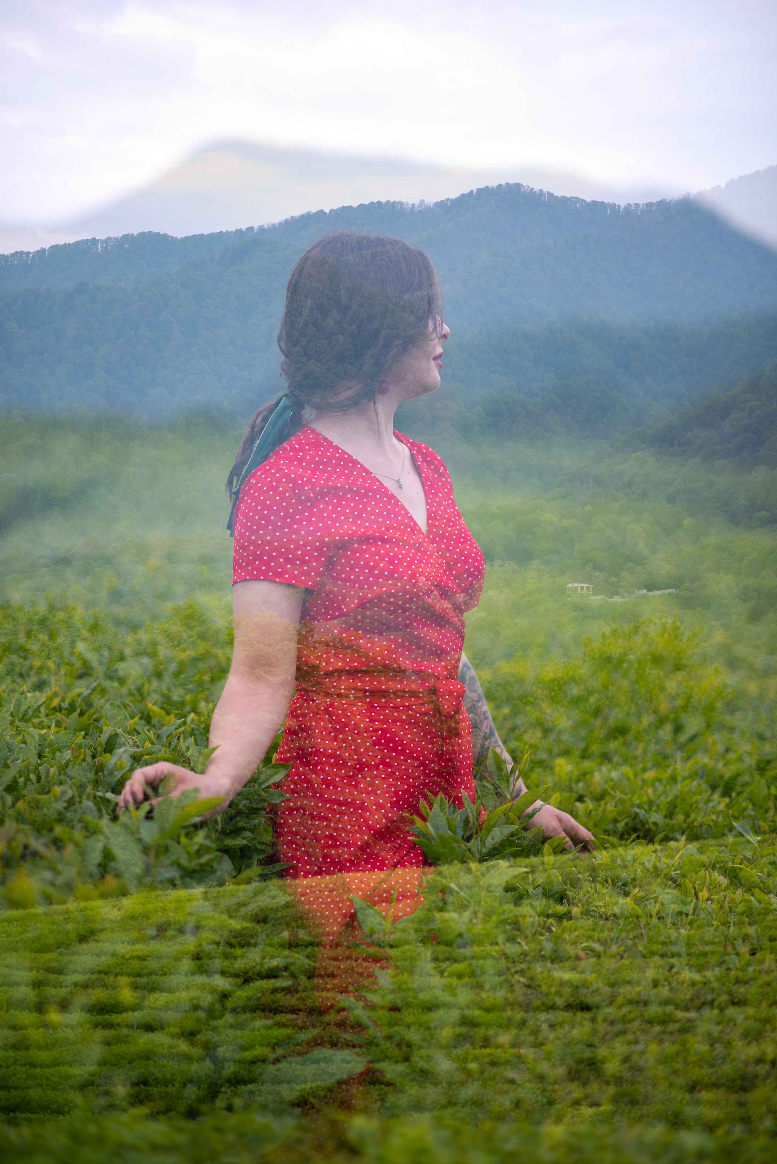 На чайных плантациях. Семейный и женский фотограф Лоо Краснодар Сочи Энем Татьяна Трибурт
