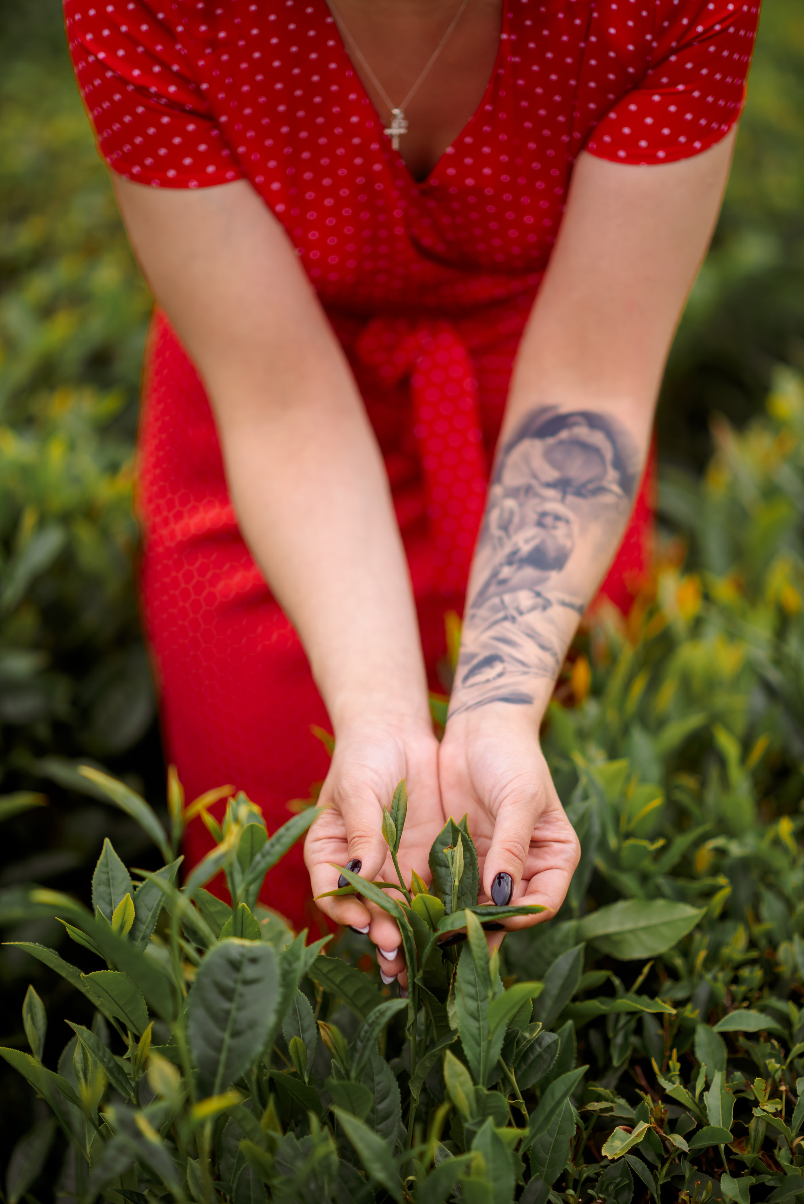 На чайных плантациях. Семейный и женский фотограф Лоо Краснодар Сочи Энем Татьяна Трибурт