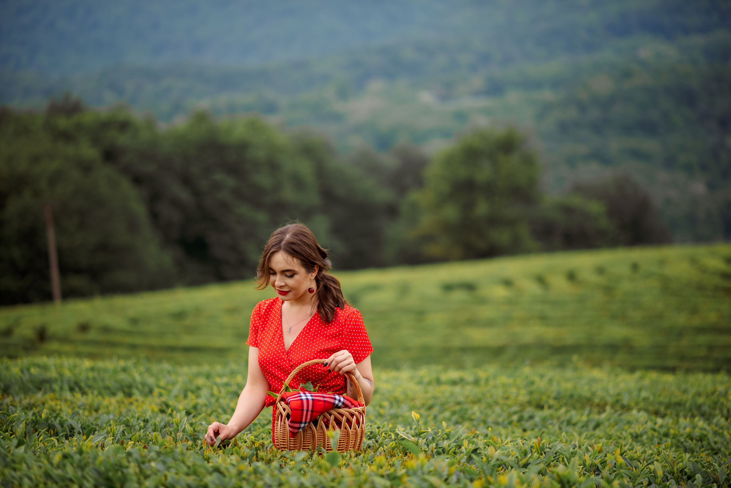 На чайных плантациях. Семейный и женский фотограф Лоо Краснодар Сочи Энем Татьяна Трибурт