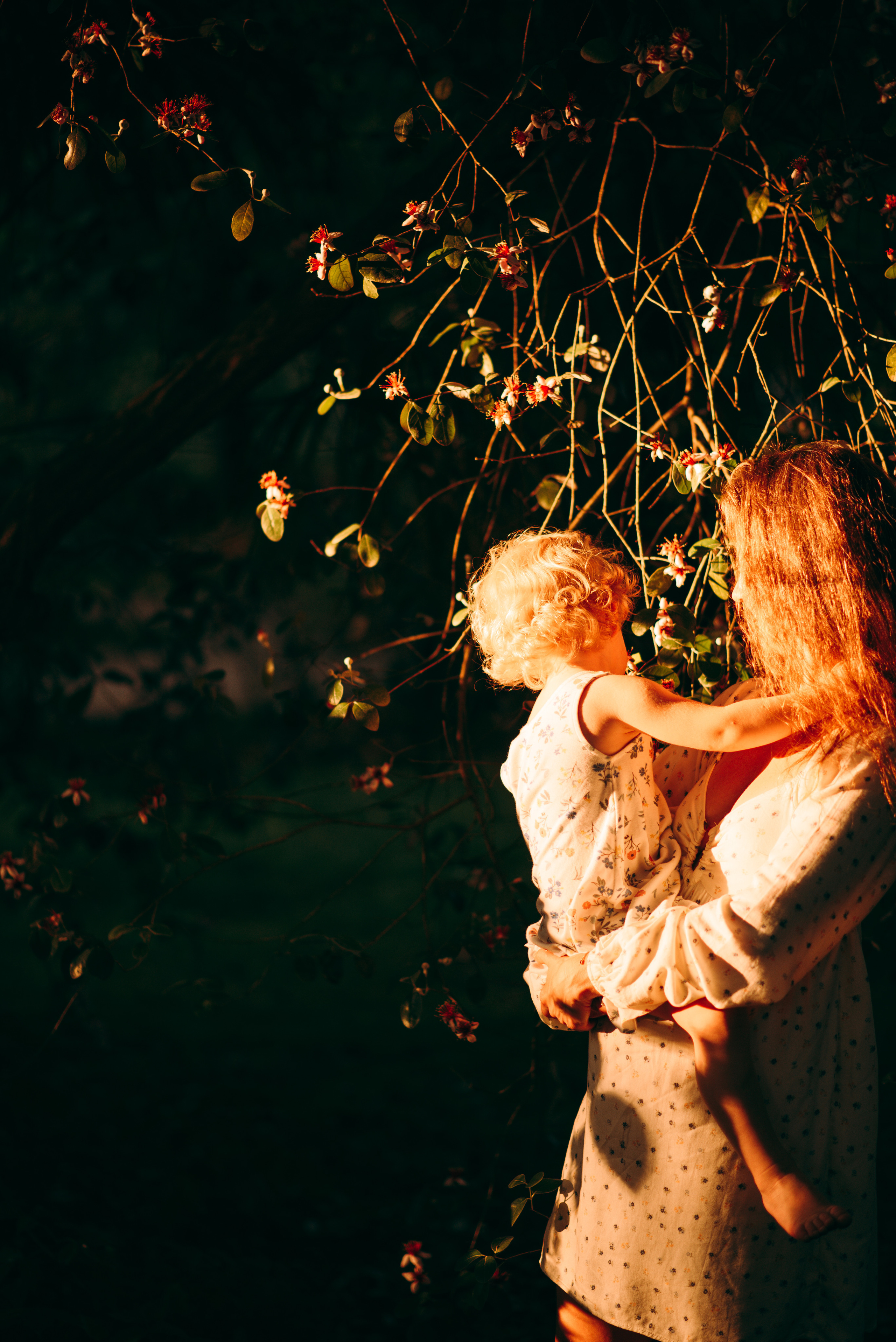 Семейные. Семейный и женский фотограф Лоо Краснодар Сочи Энем Татьяна Трибурт