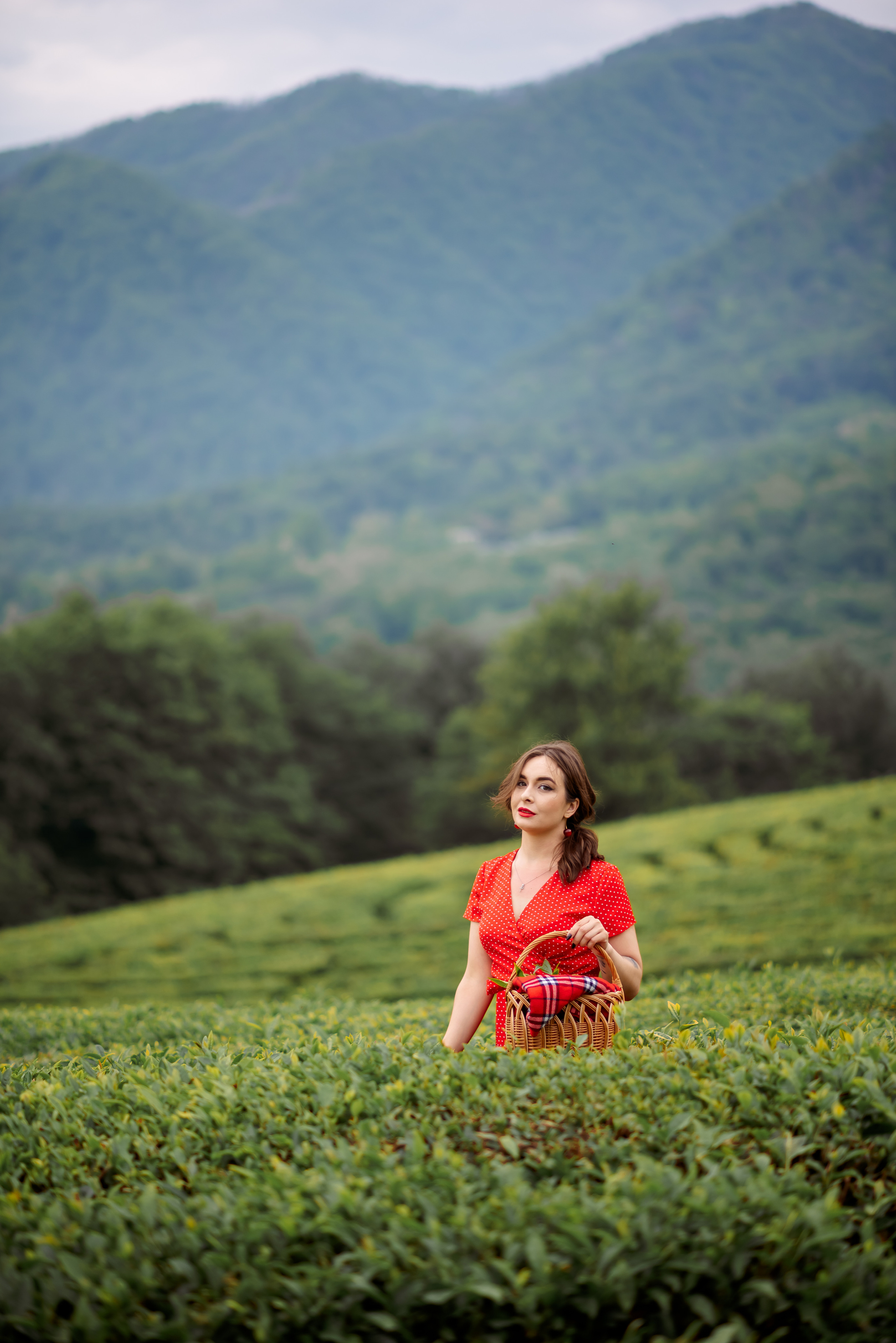 На чайных плантациях. Семейный и женский фотограф Лоо Краснодар Сочи Энем Татьяна Трибурт